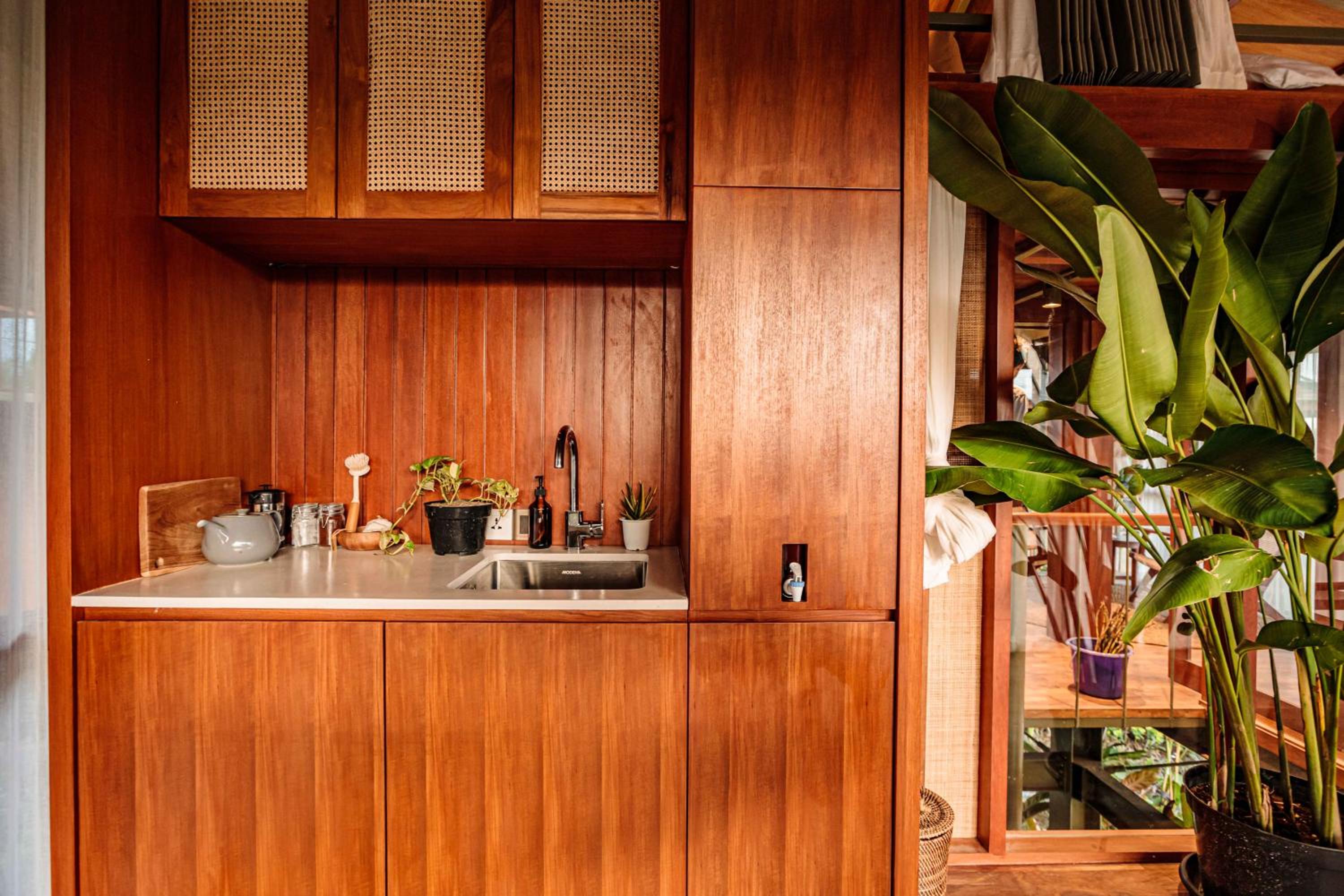Treehouse Ficus - Photo 3