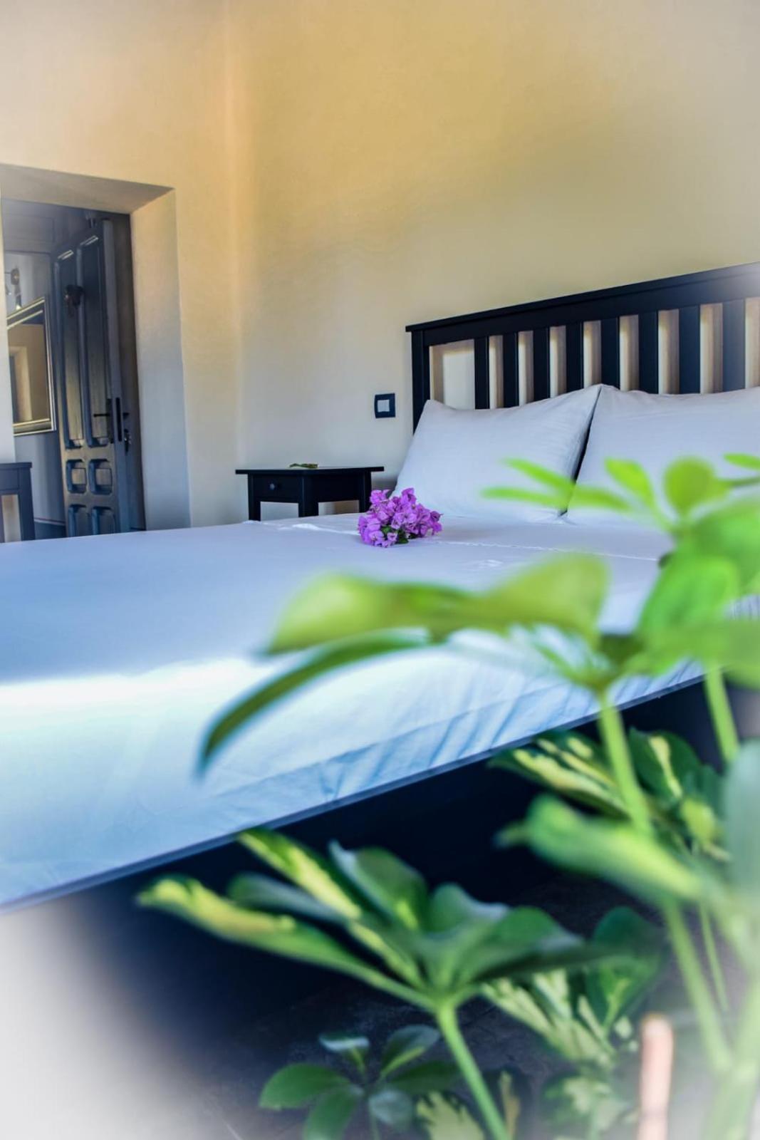 Double Room with Garden View photo 1