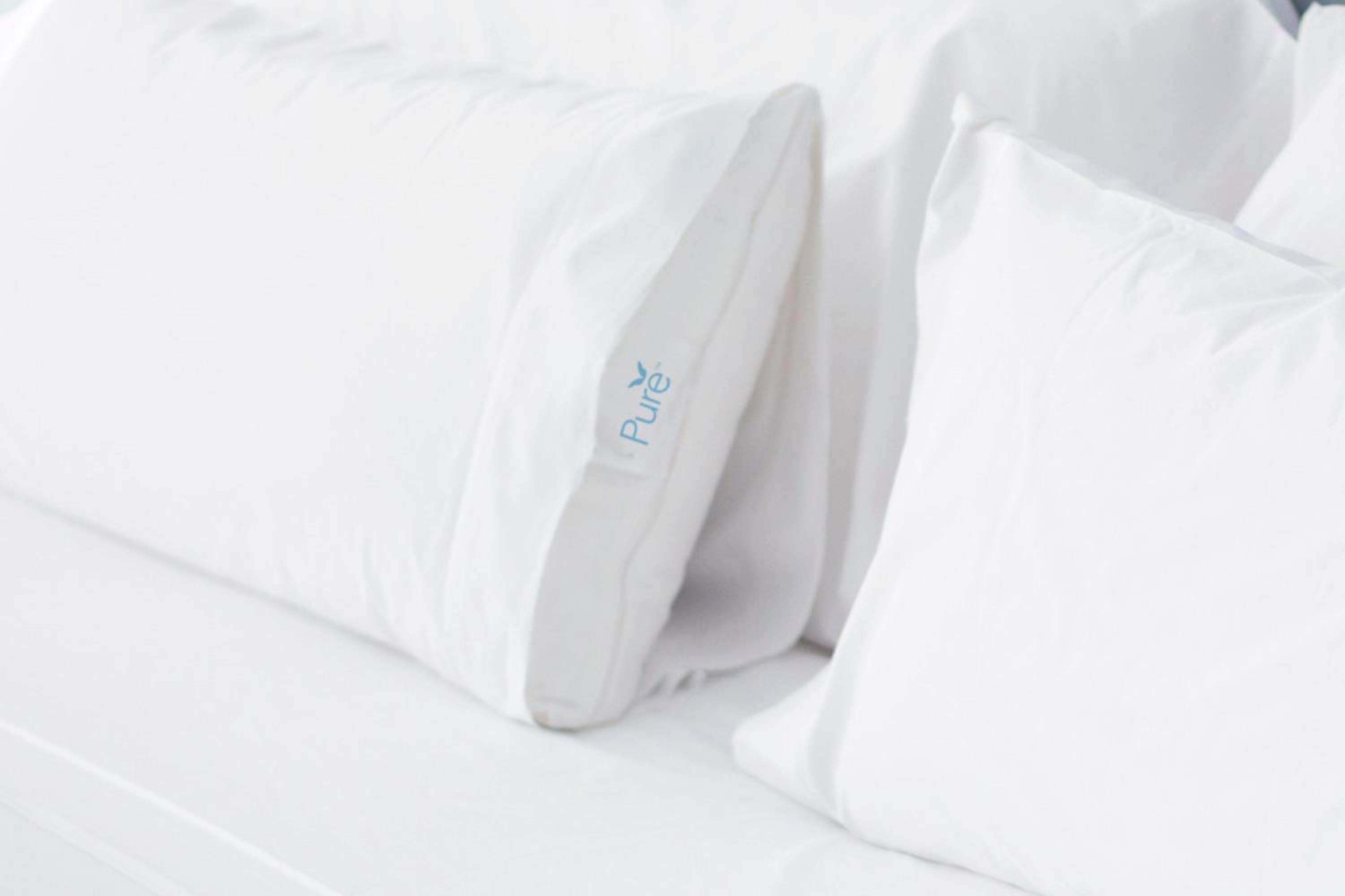 PURE® Allergy-Friendly, Guest room, 1 Queen, Sofa bed photo 3