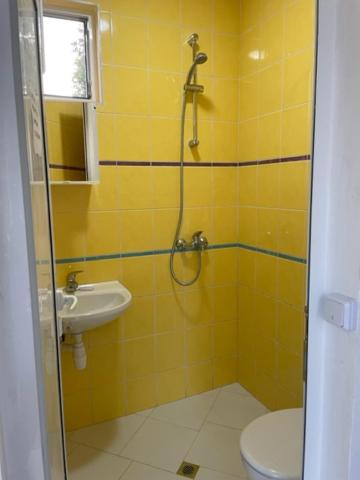 One-Bedroom House photo 3
