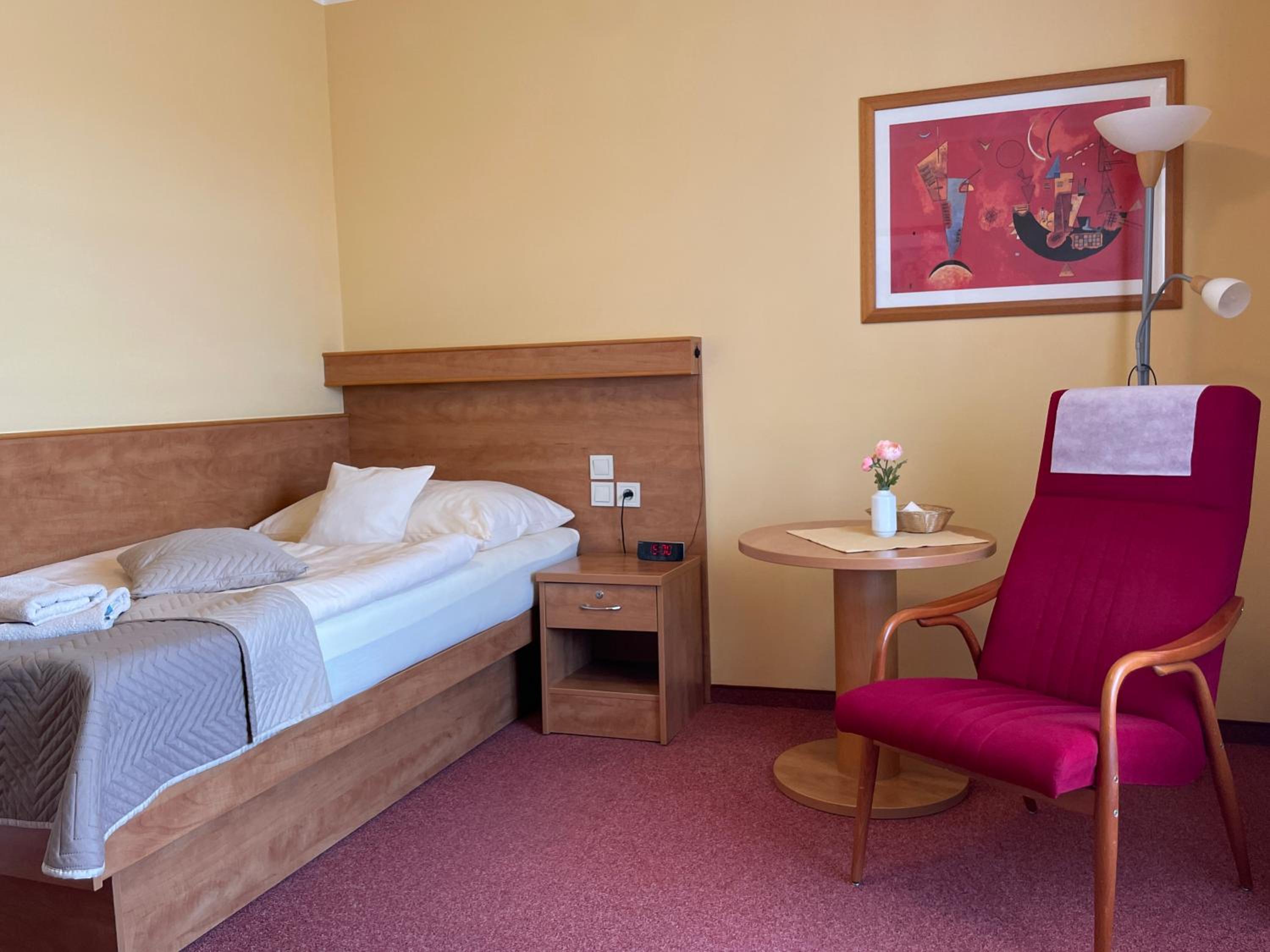 Single Room with Terrace and Treatment Package in Palace I