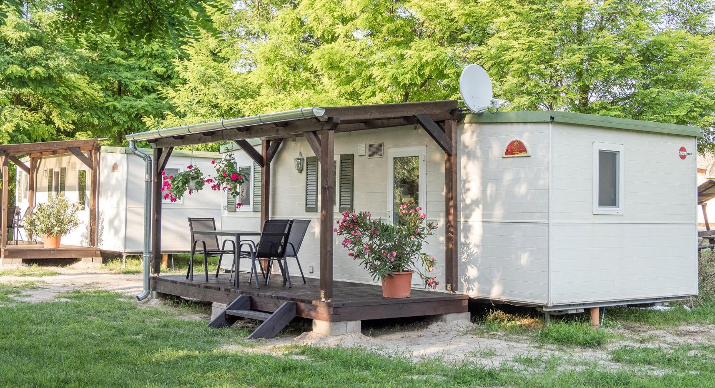 Mobile Home photo 2