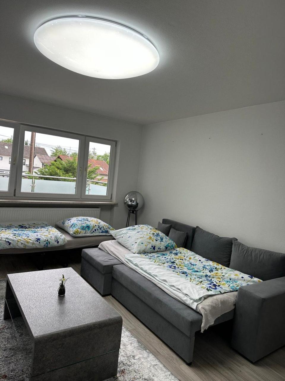 One-Bedroom Apartment photo 3