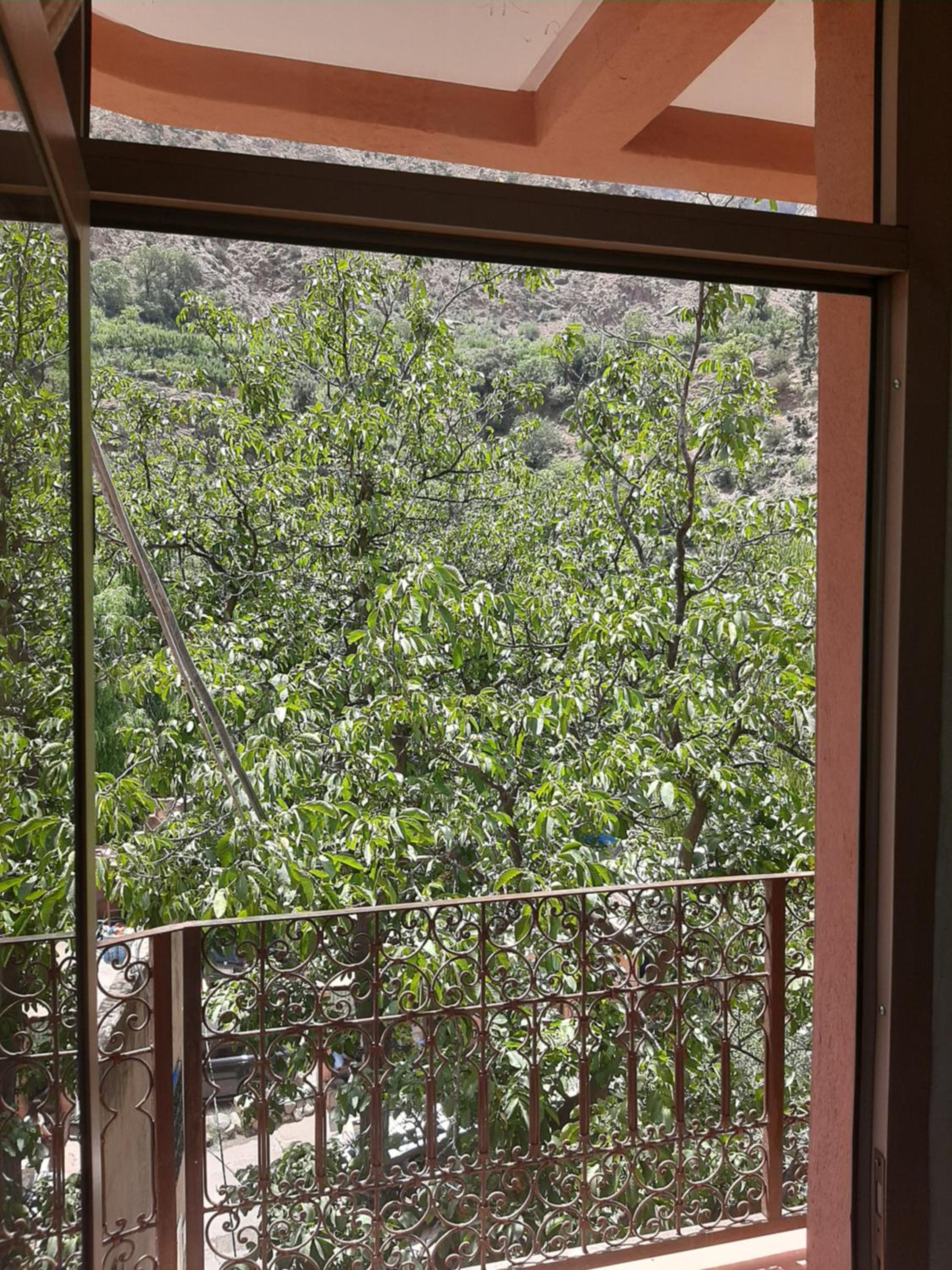 Apartment - Photo 6