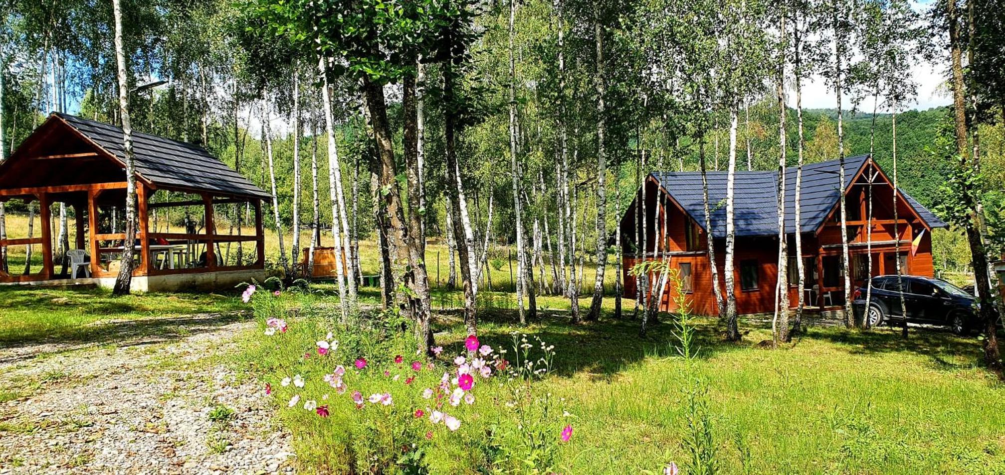 Seven-Bedroom House photo 2