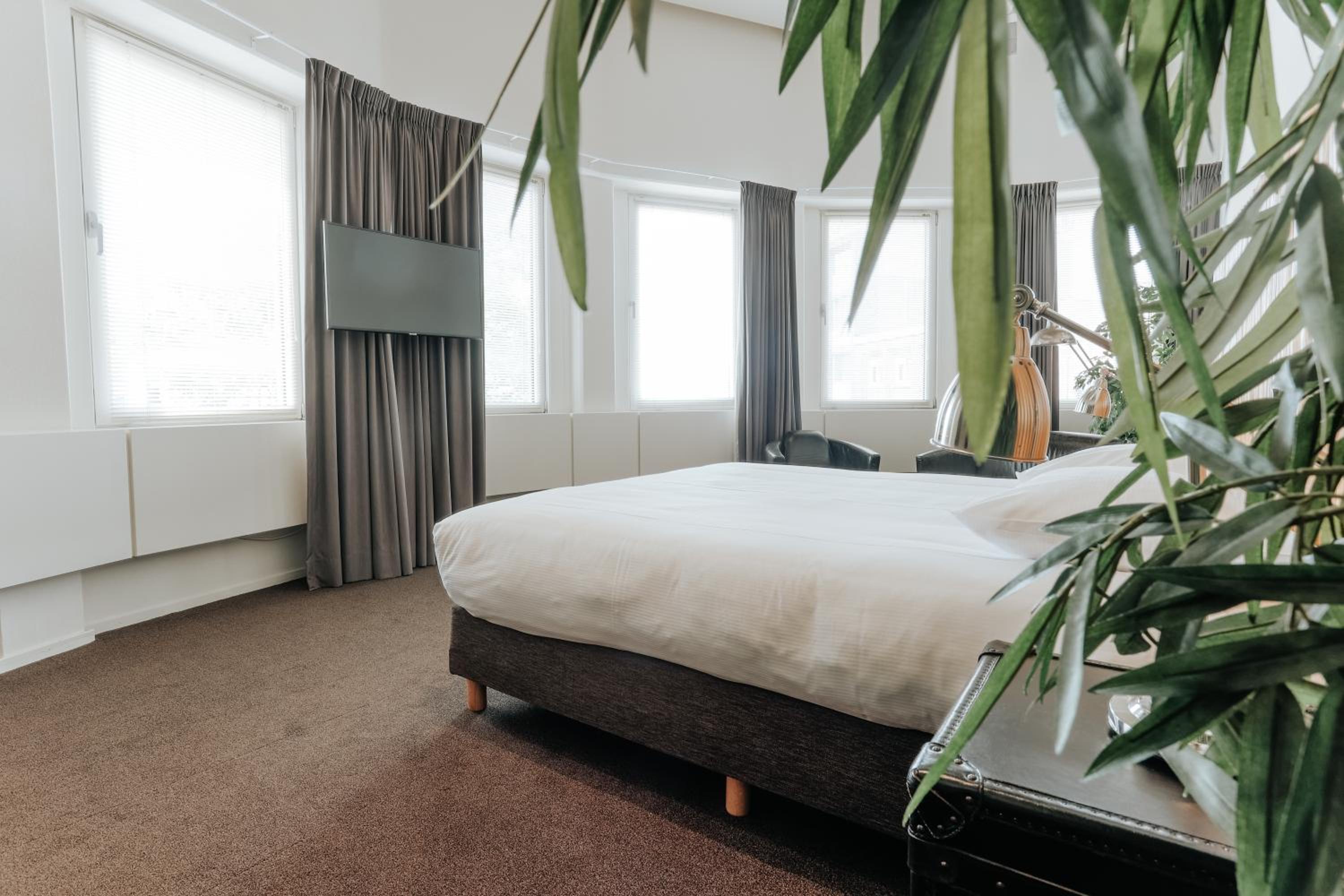 Royal Room - Photo 4