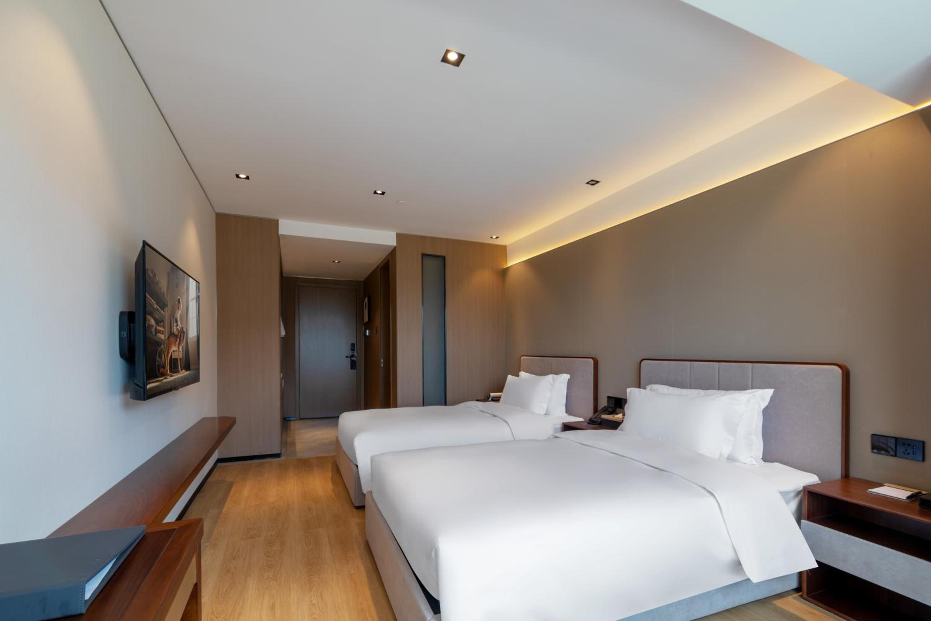 Comfortable Twin Room photo 1