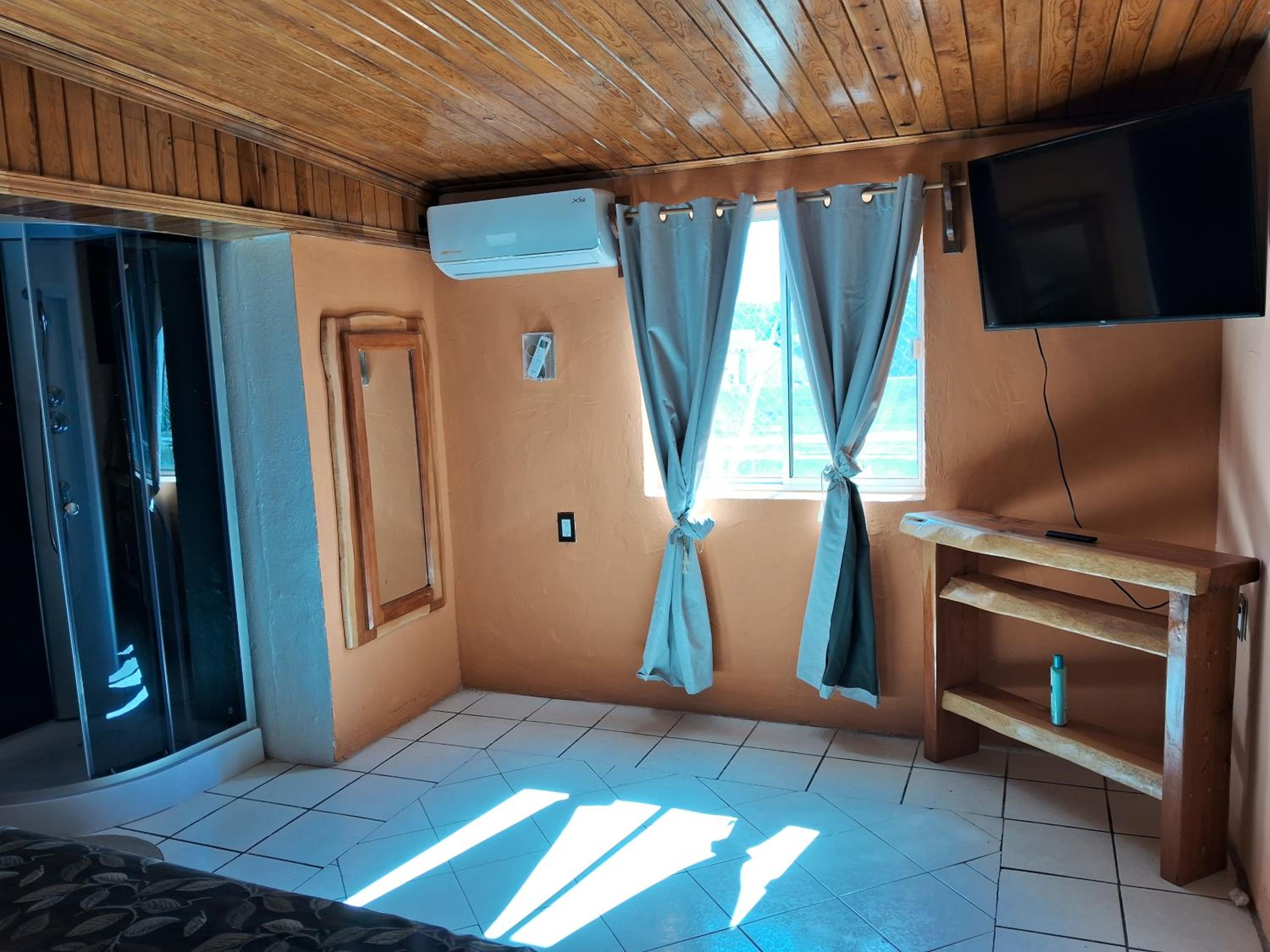 Deluxe Double or Twin Room photo 1