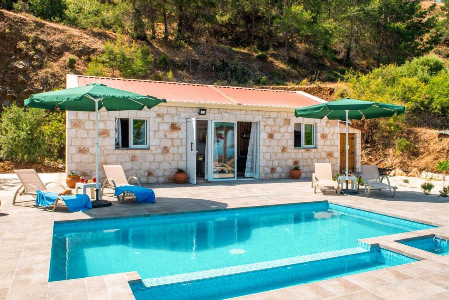  Villa With Private Pool photo 3