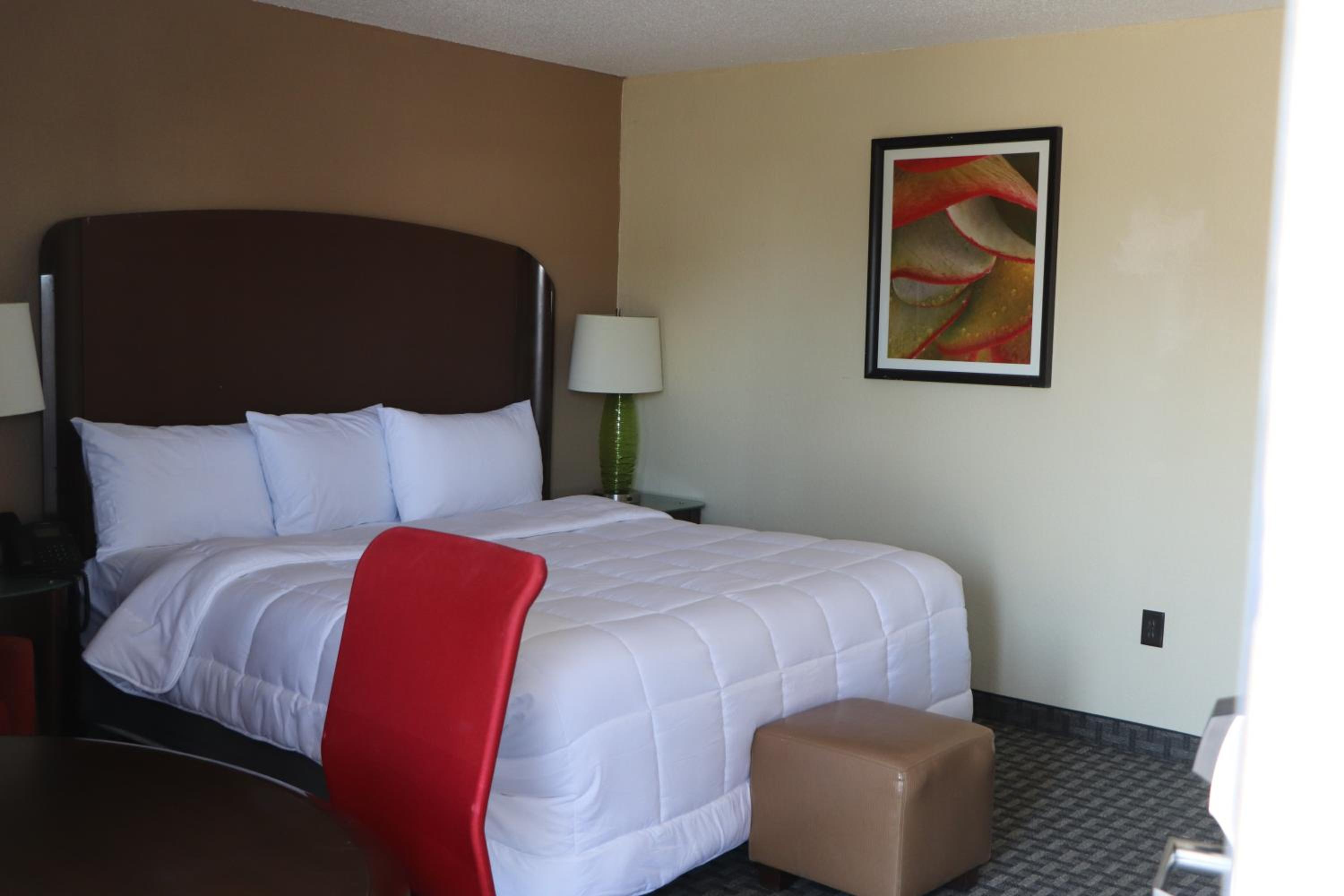 Standard King Room photo 1