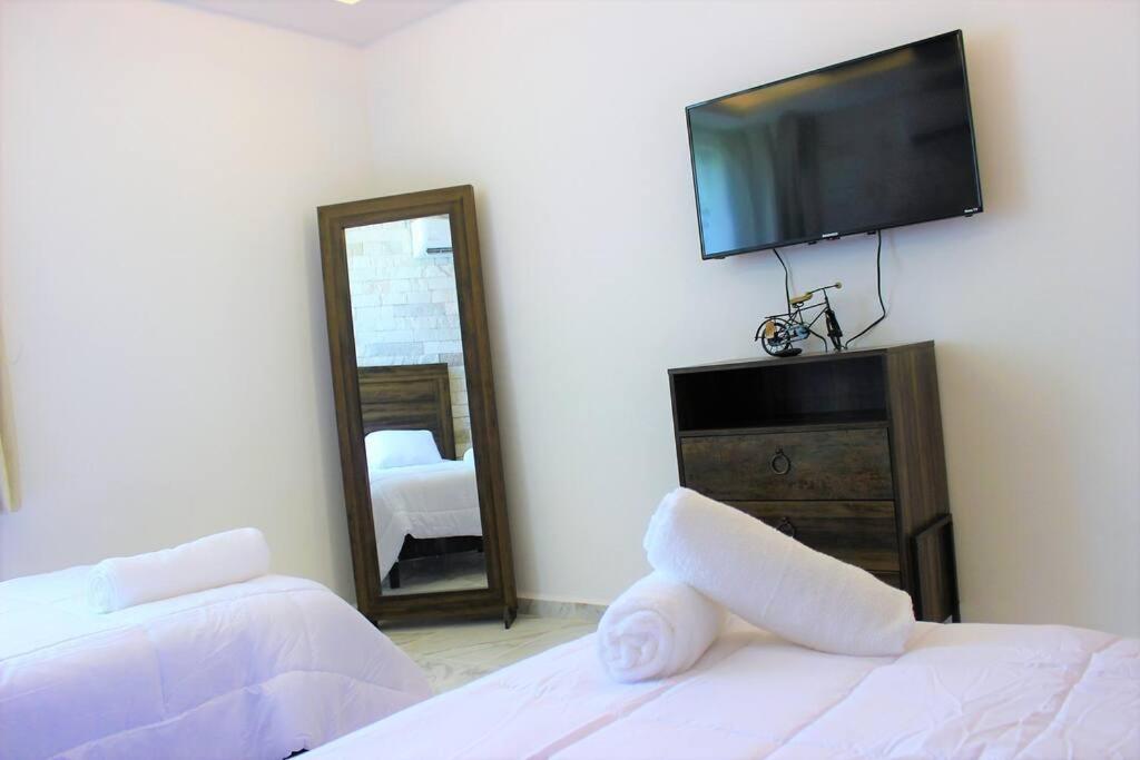 Three-Bedroom Villa photo 1