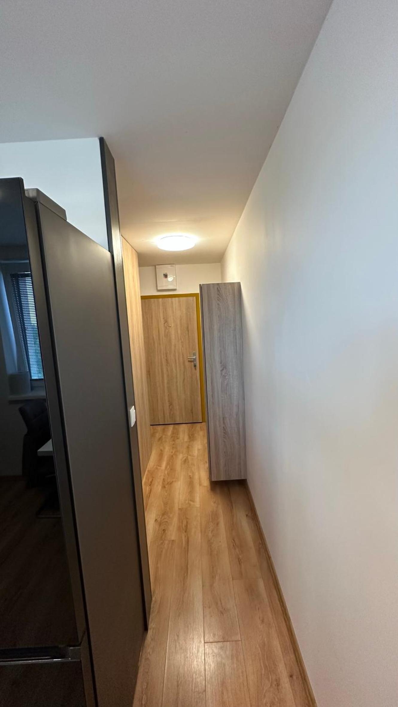 One-Bedroom Apartment photo 3
