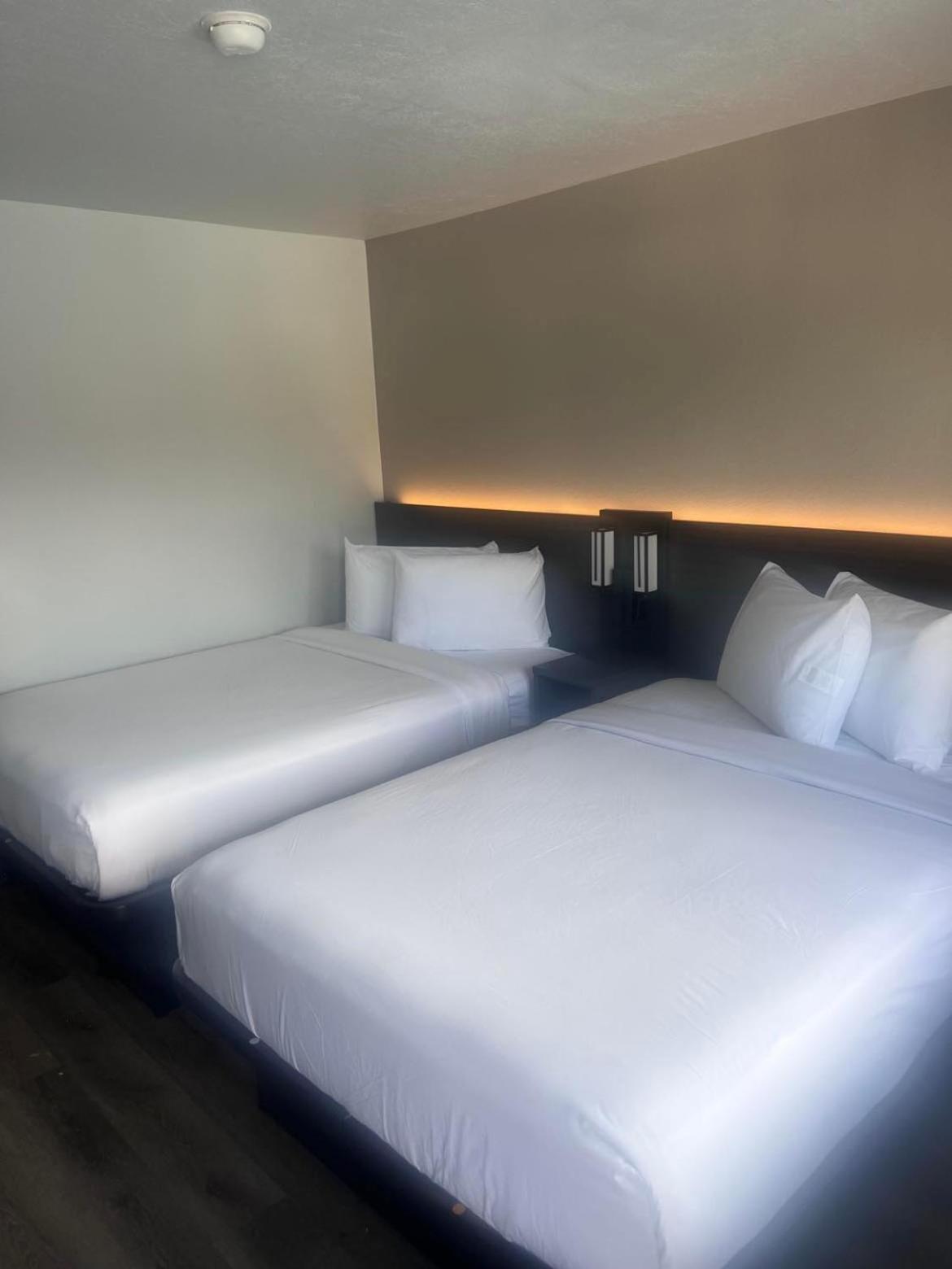 Deluxe Quadruple Room photo 1