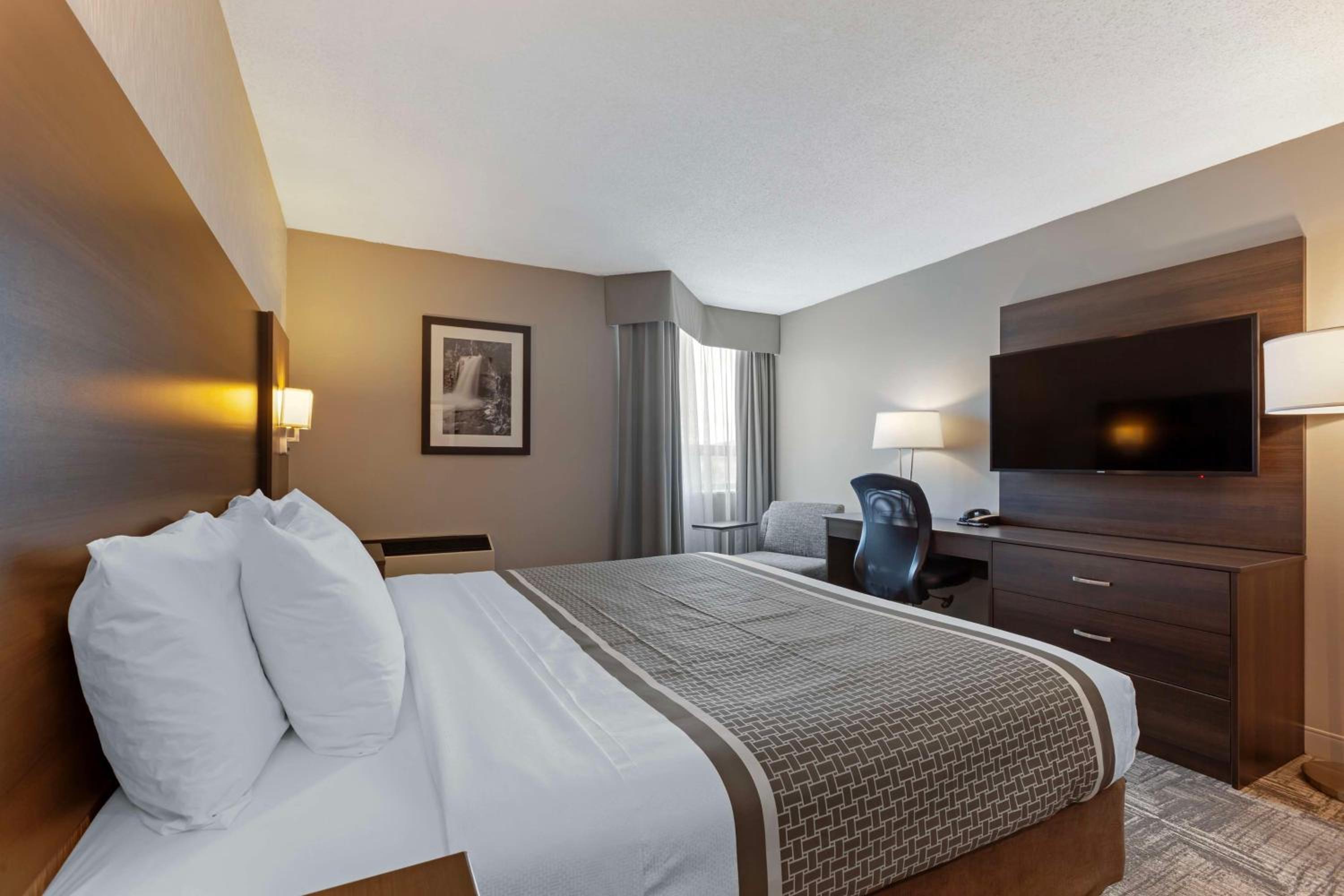 King Room photo 3