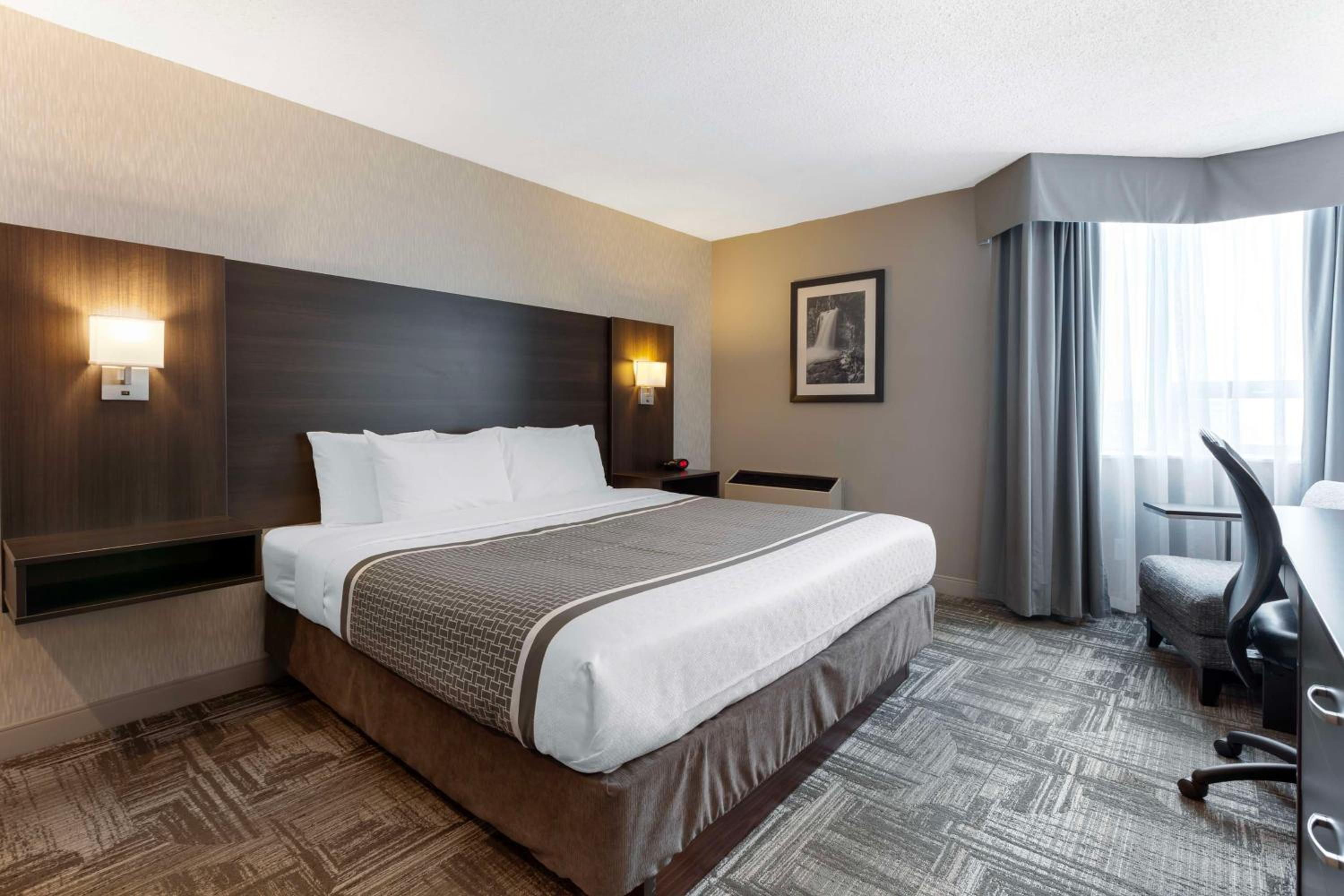 King Room photo 1