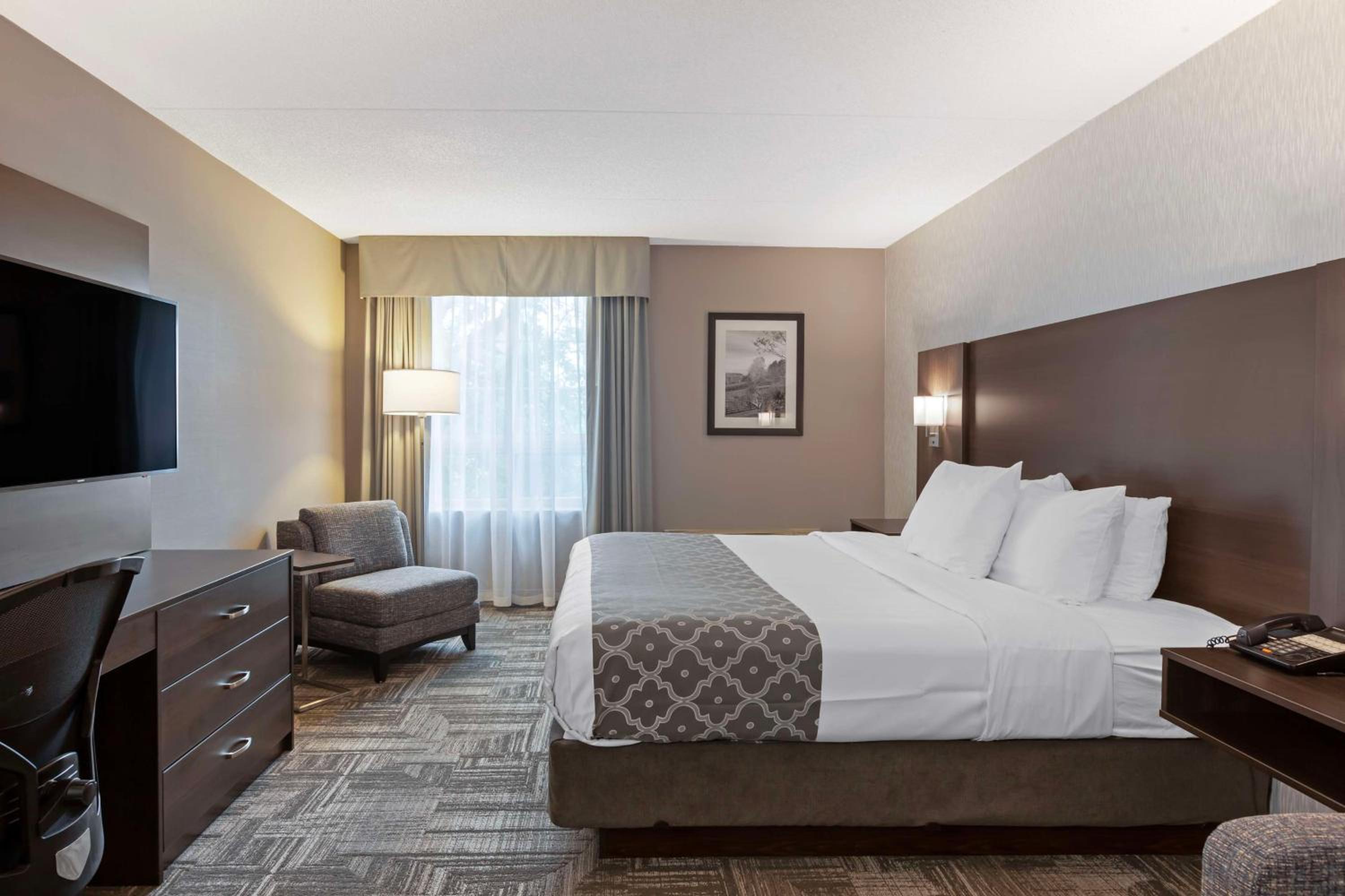King Room with Sofa Bed photo 1