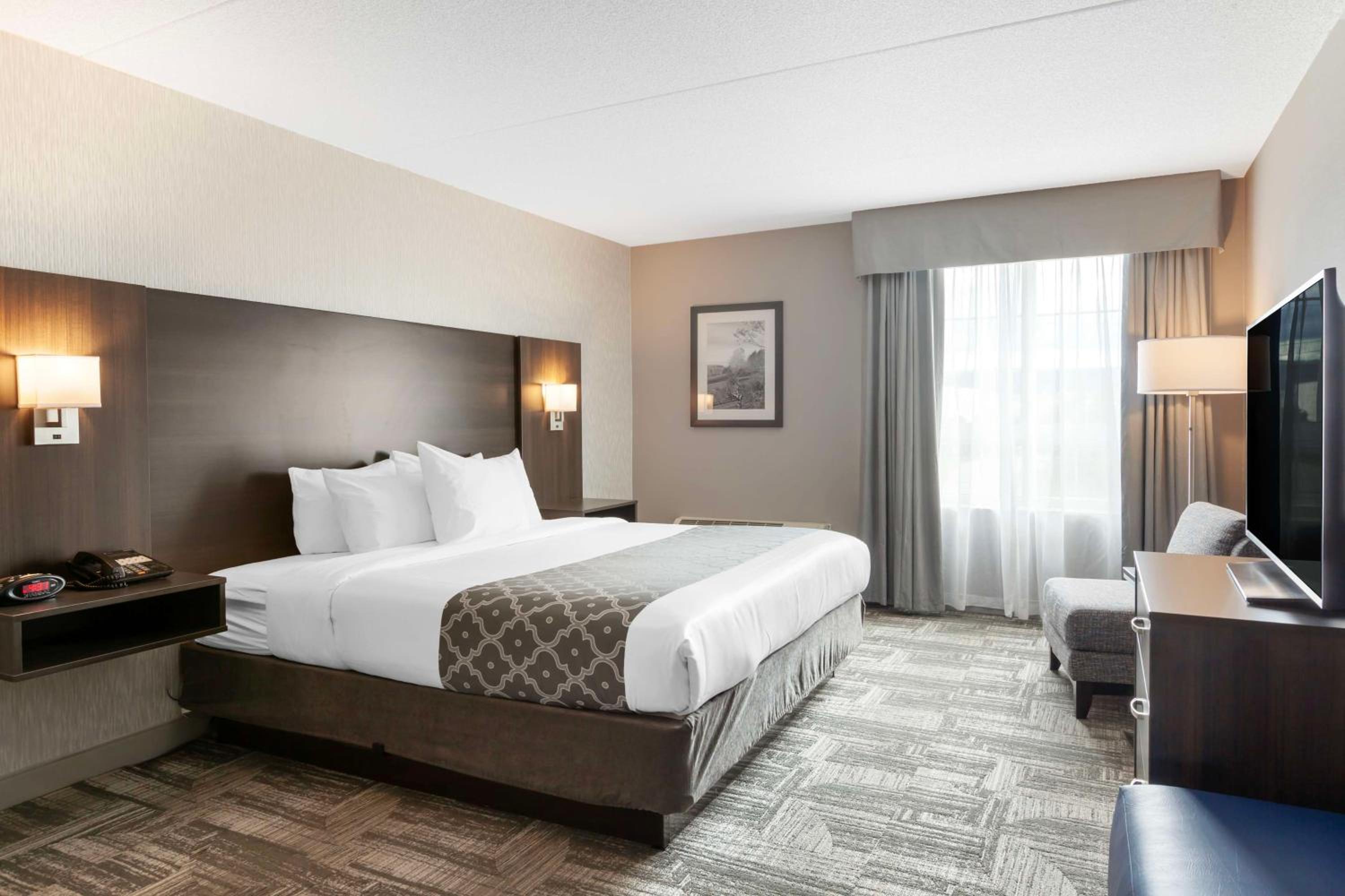 King Suite photo 1
