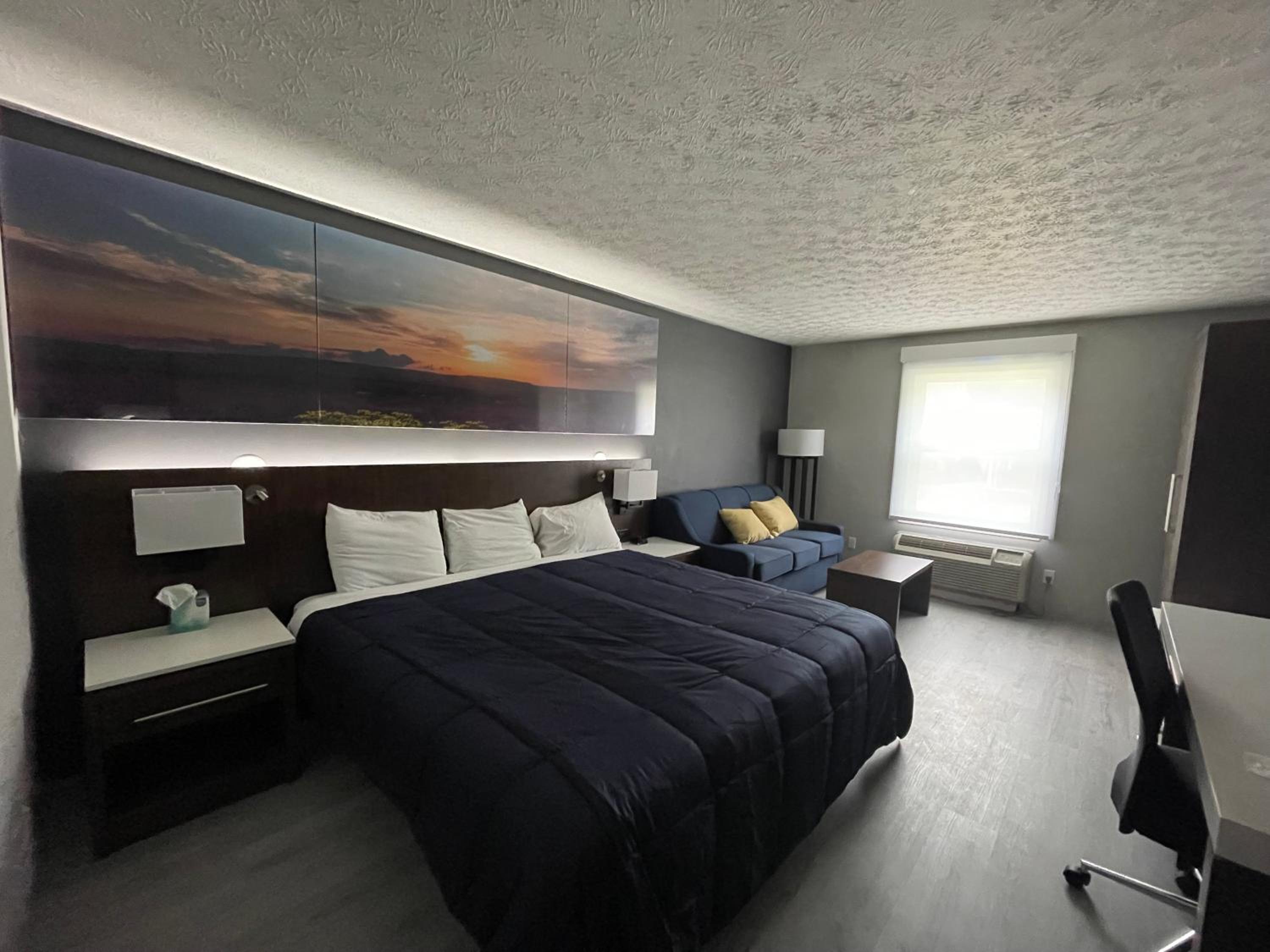Deluxe King Suite - Photo 25