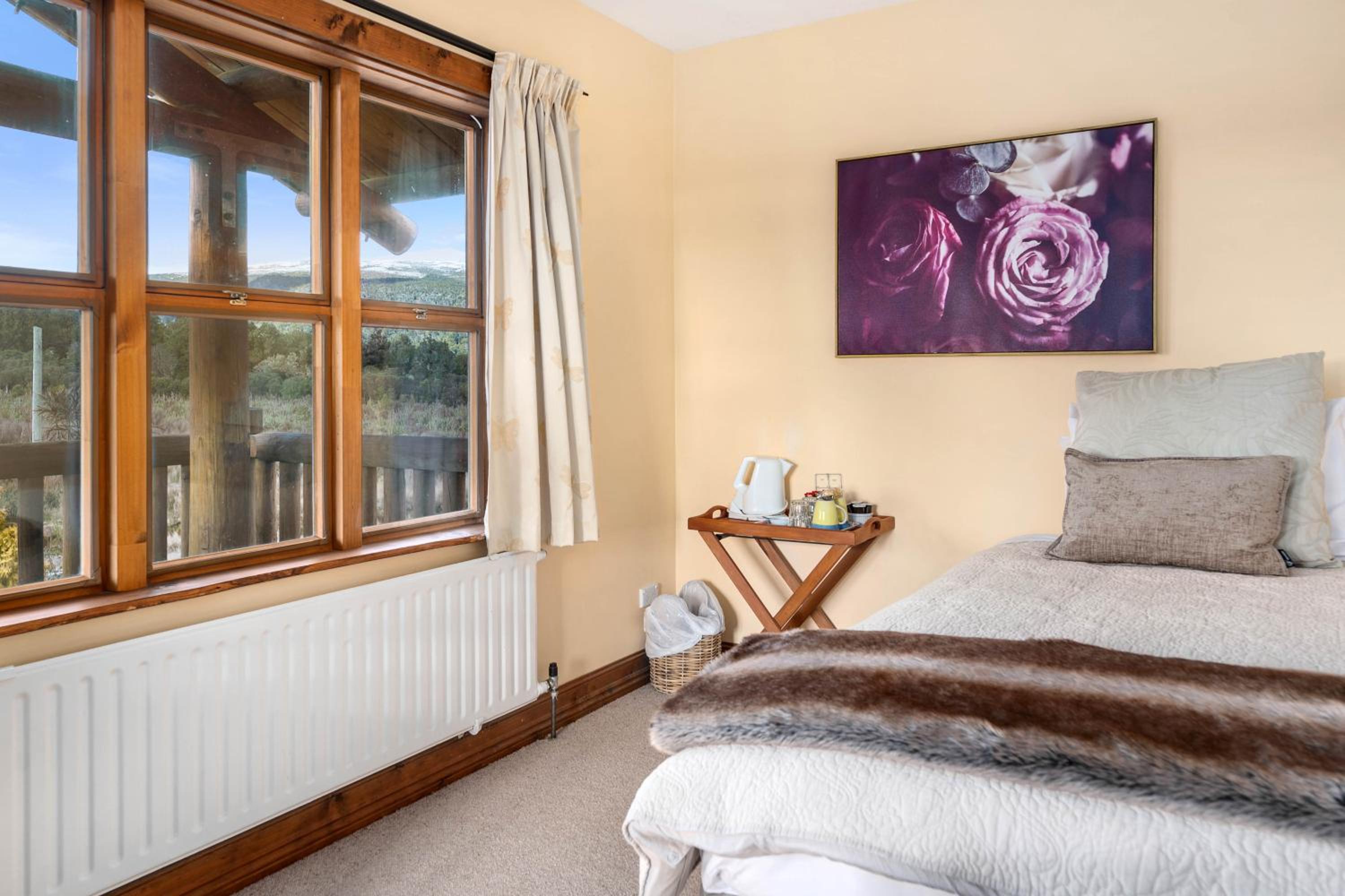 Deluxe Queen Suite - Photo 8