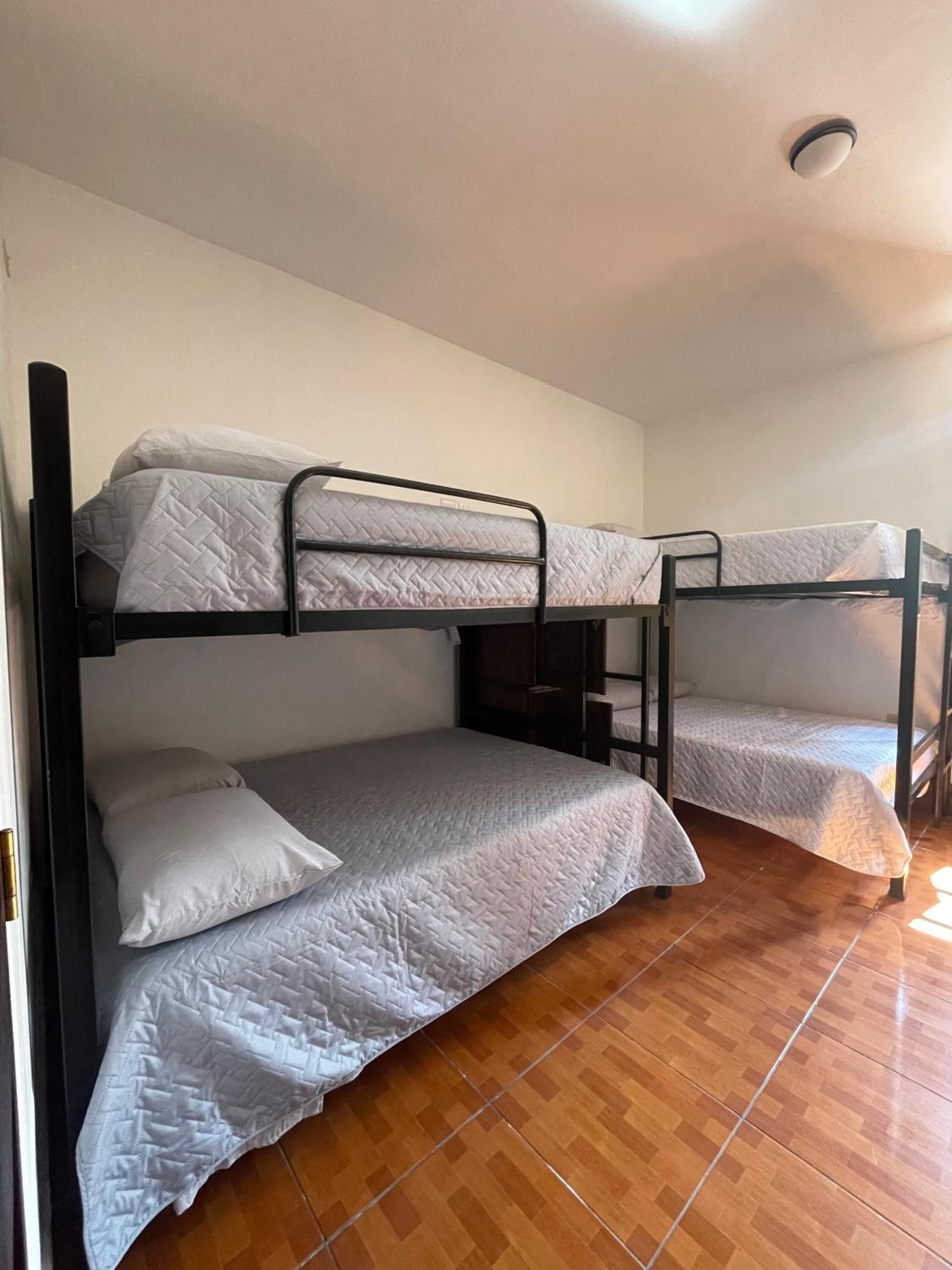 Bunk Bed in Mixed Dormitory Room photo 2