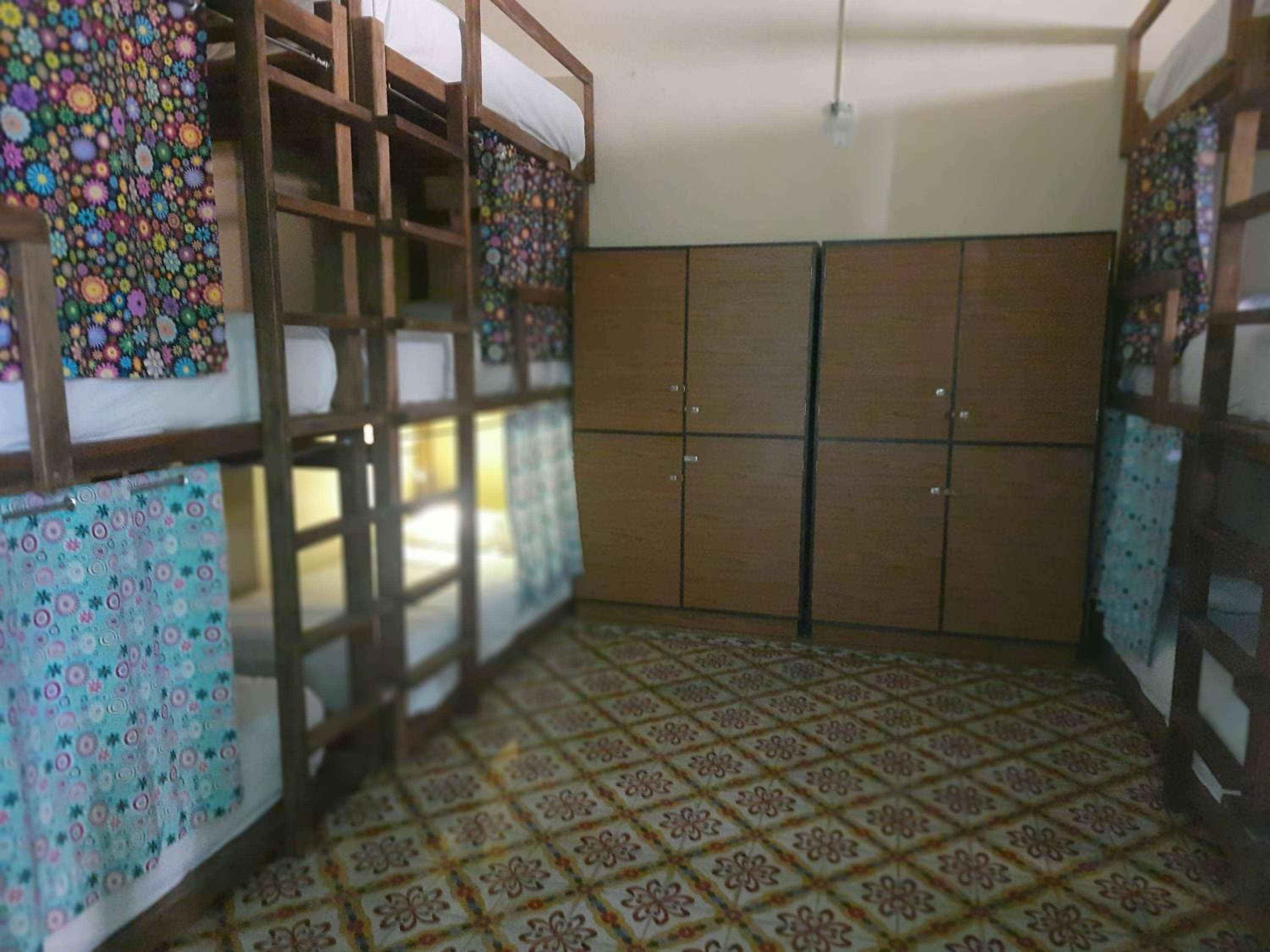 Bunk Bed in Mixed Dormitory Room photo 2
