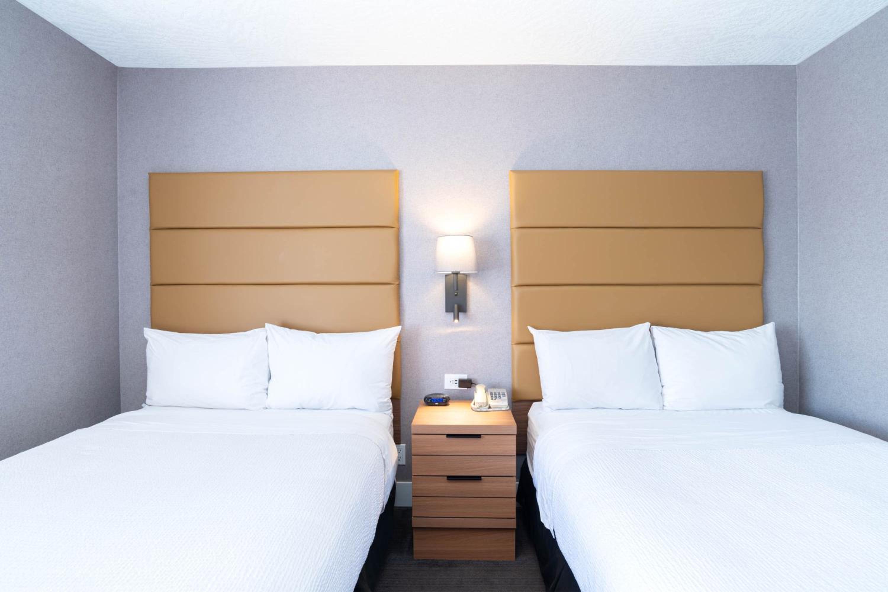 Standard Suite, 2 Double Beds, Sofa Bed, Kitchenette photo 2