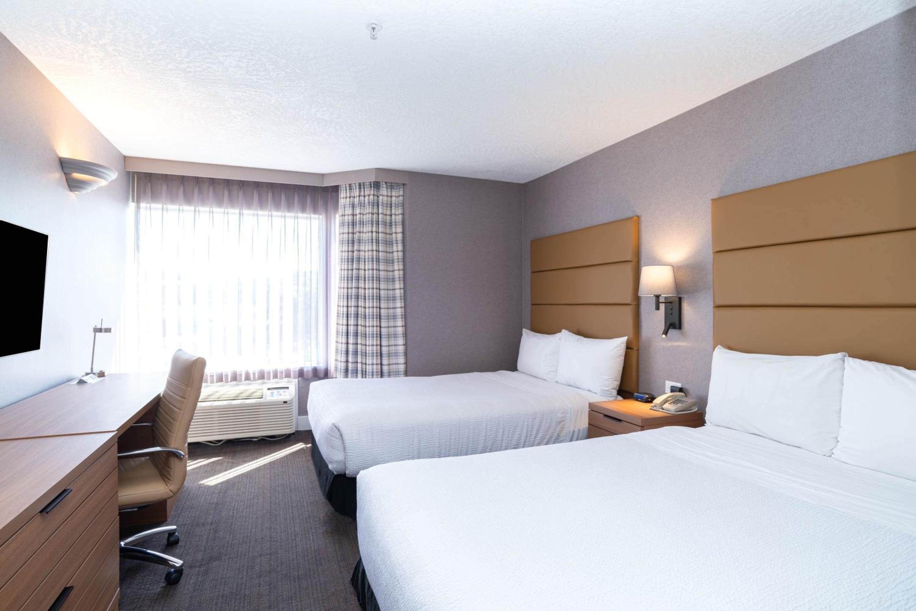 Standard Suite, 2 Double Beds, Sofa Bed, Kitchenette photo 1