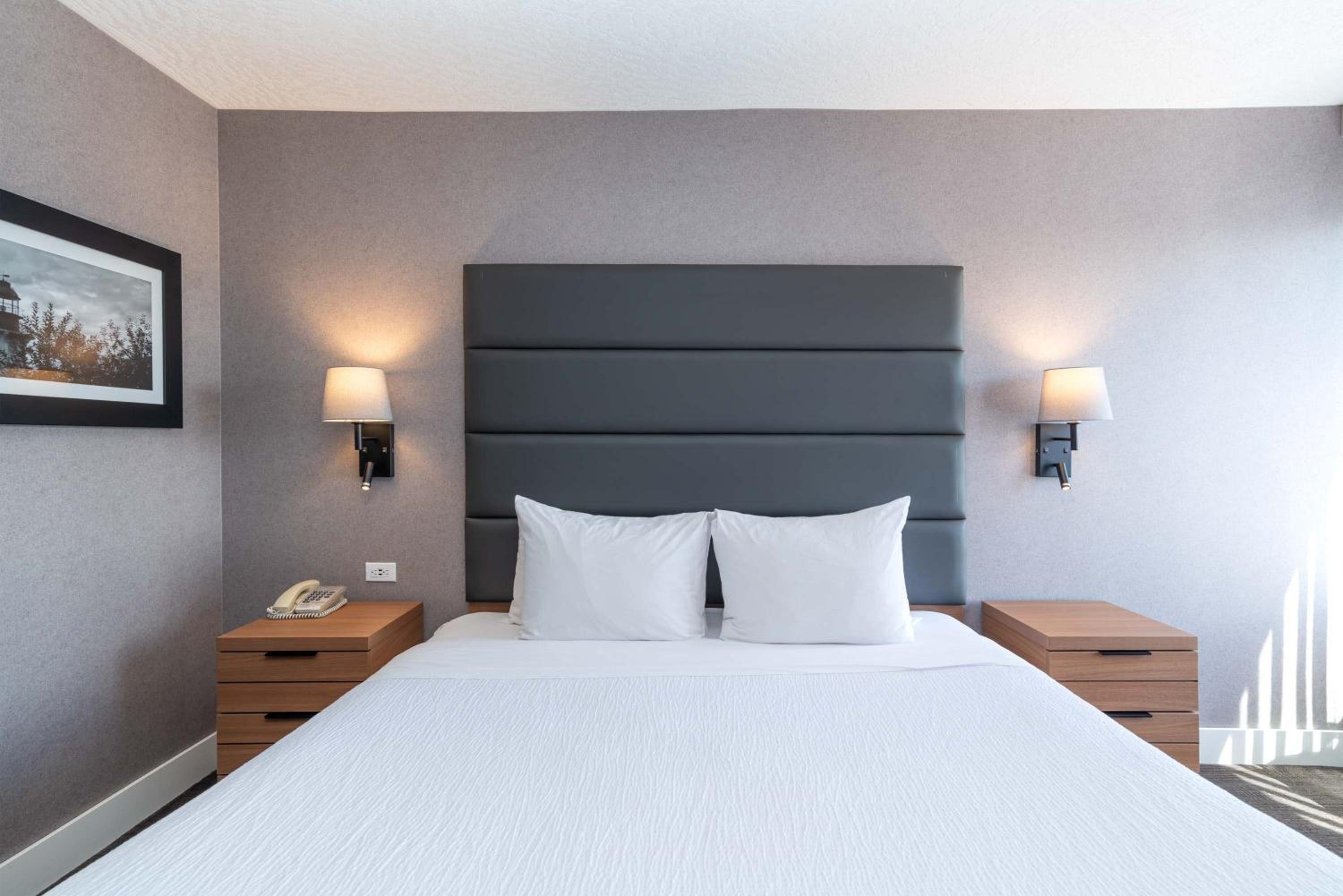 Standard Suite, 1 King Bed, Sofa Bed, Kitchenette - Photo 1