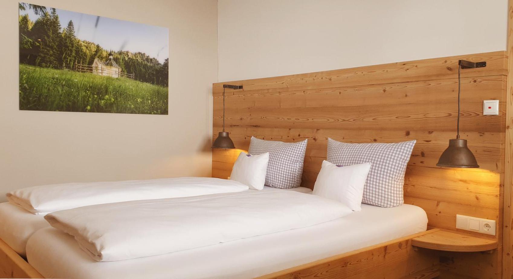 Double Room with Mountain View photo 1