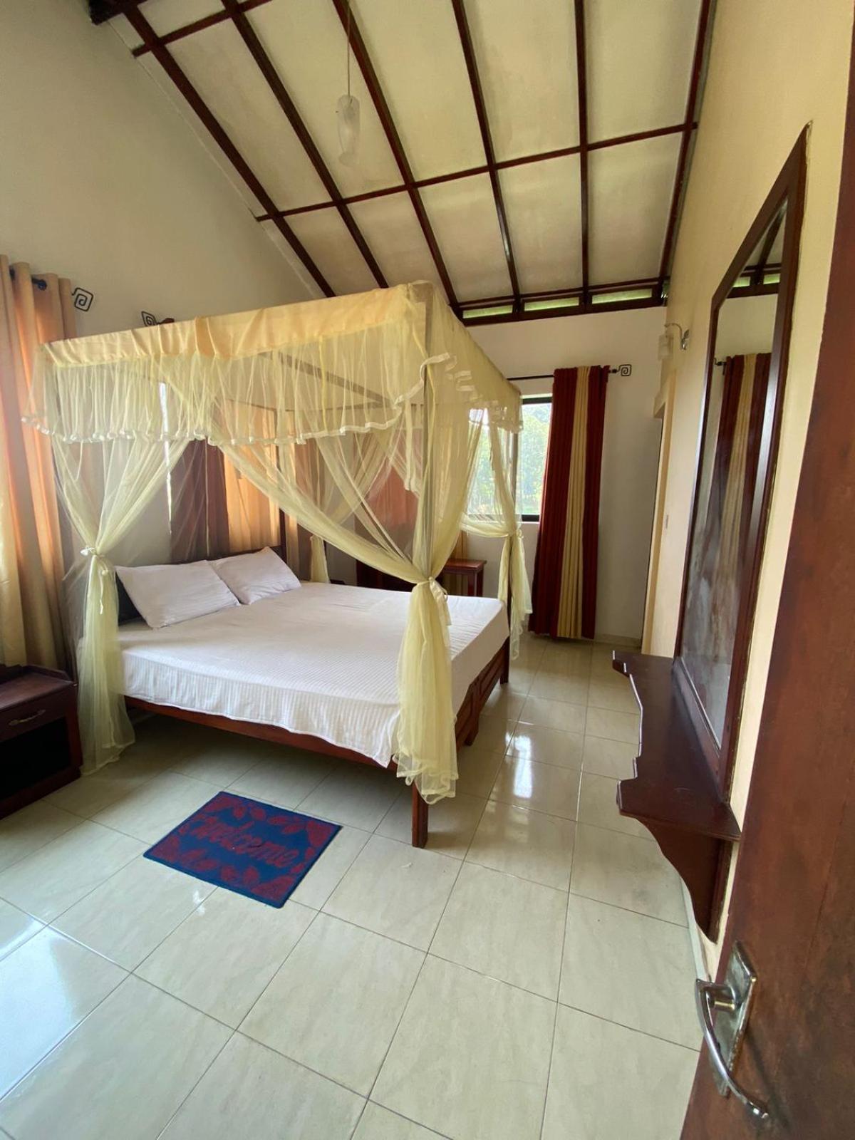 King Room photo 1