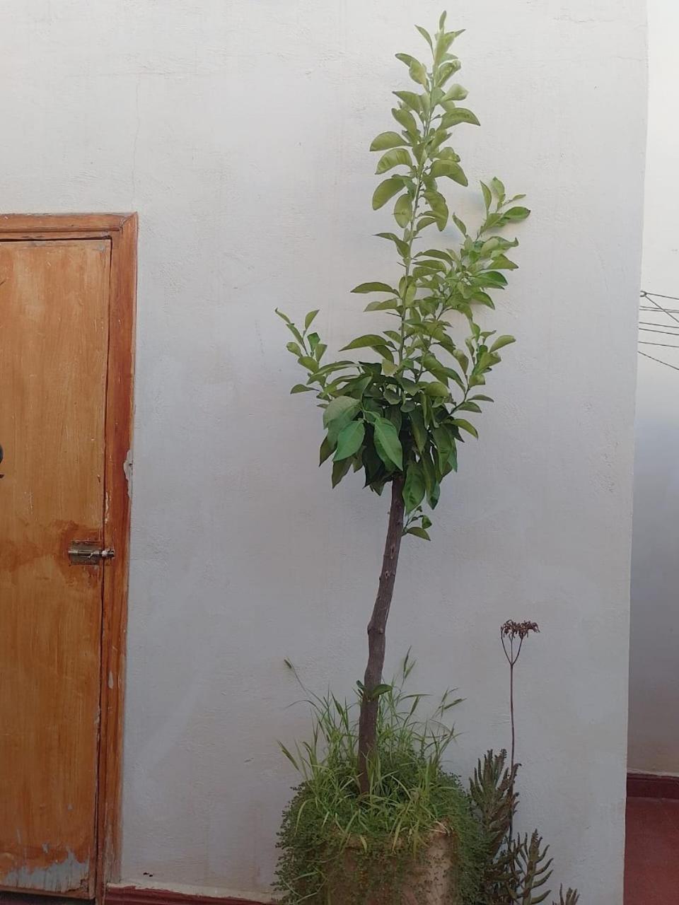 Double Room with Private Bathroom - Photo 25