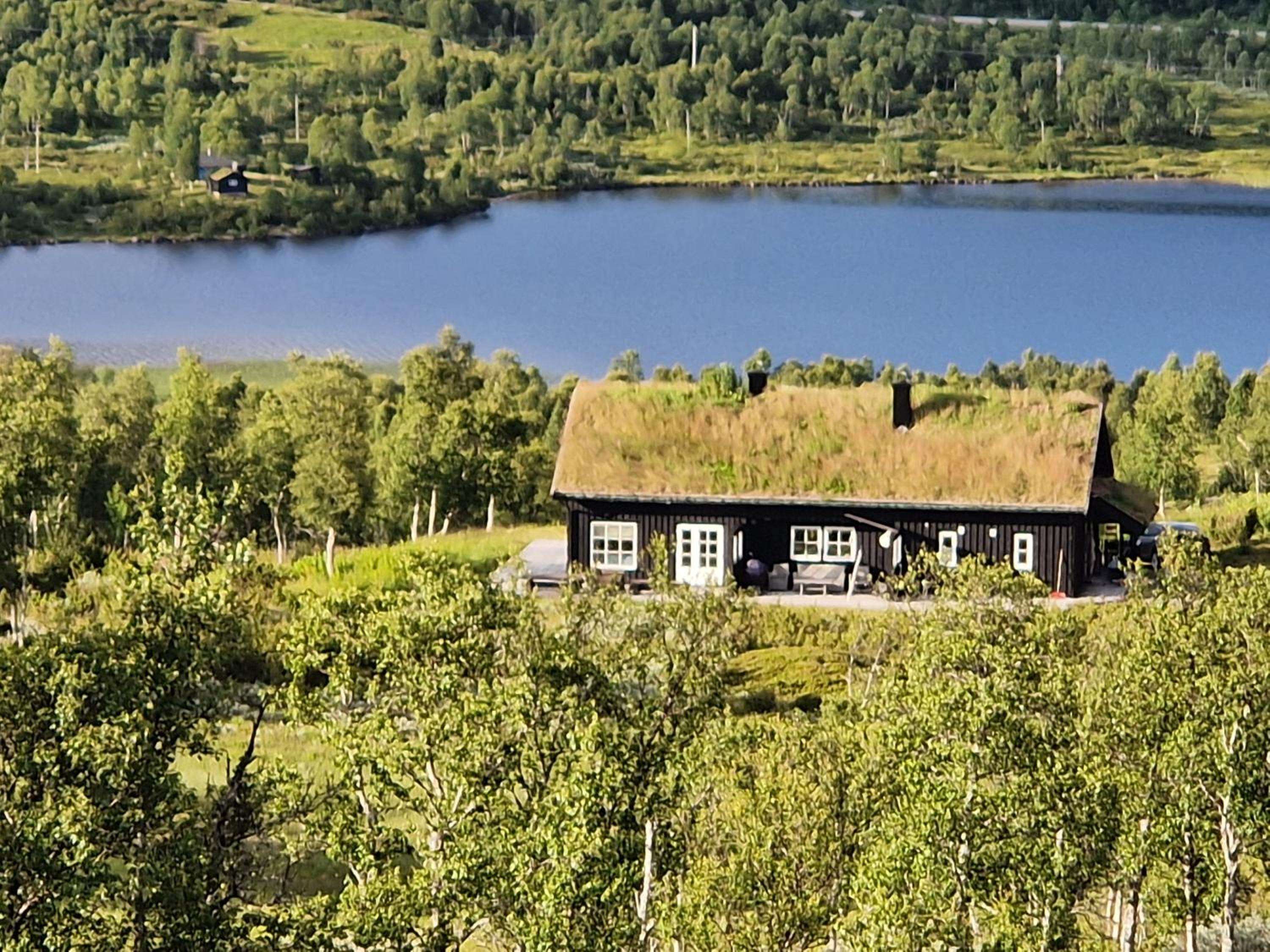 Superior Villa photo 2
