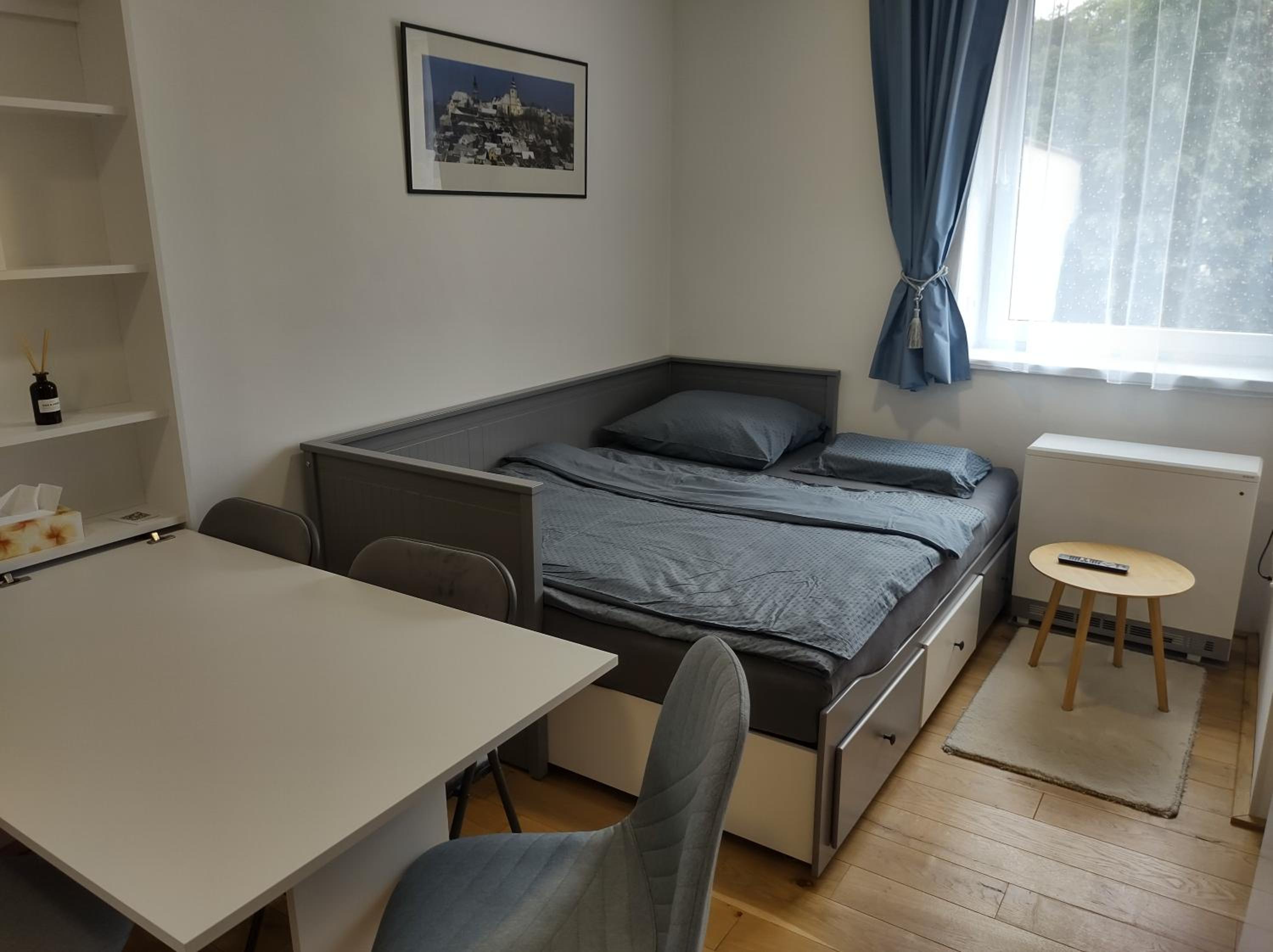 One-Bedroom Apartment photo 3