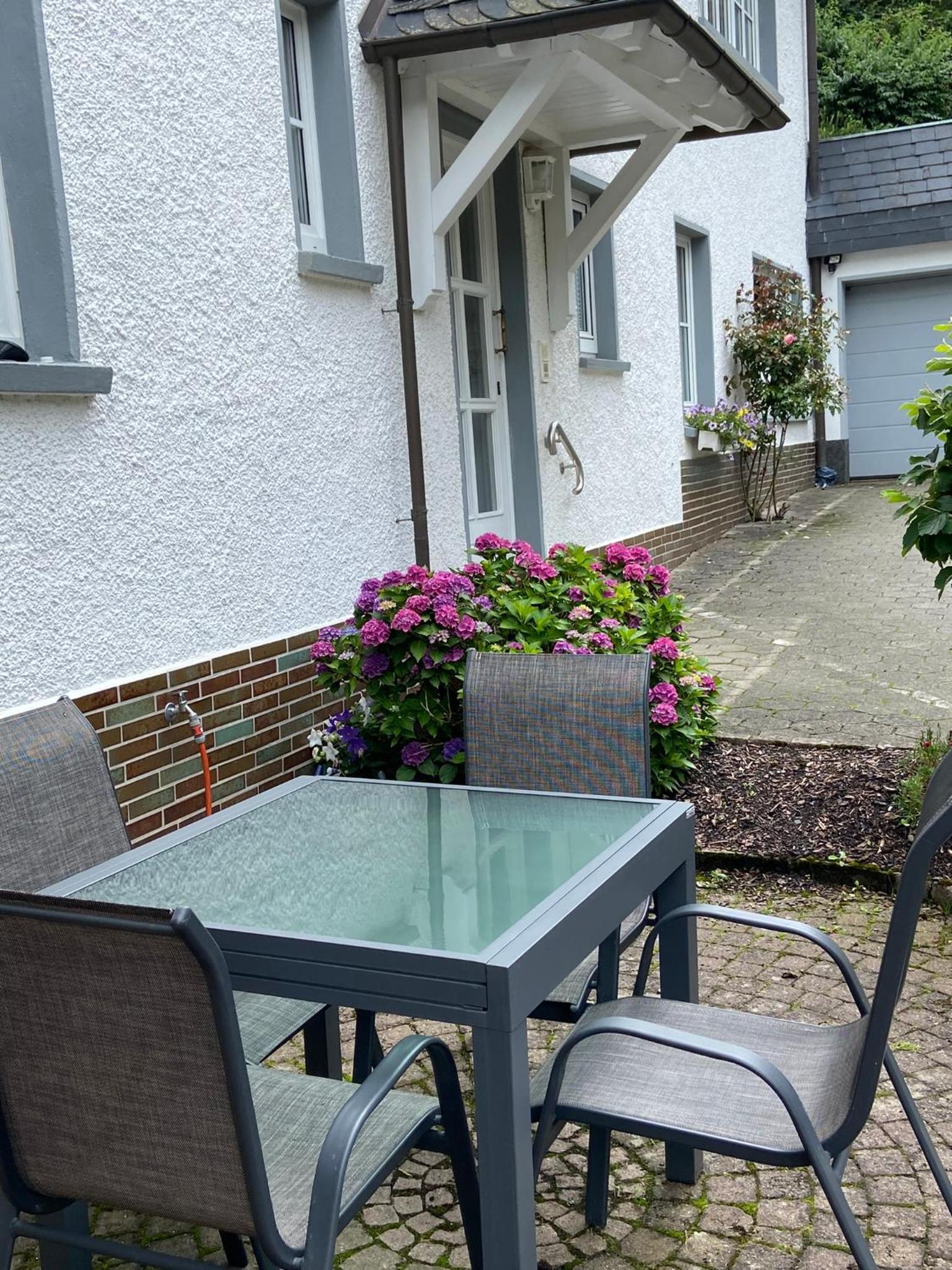 Apartment with Terrace photo 3