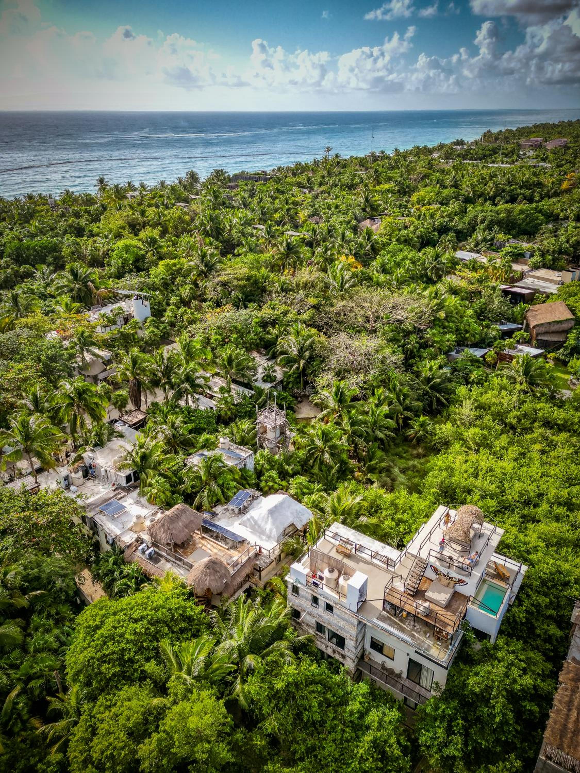 Superior Double or Twin Room with Jungle View - Photo 80
