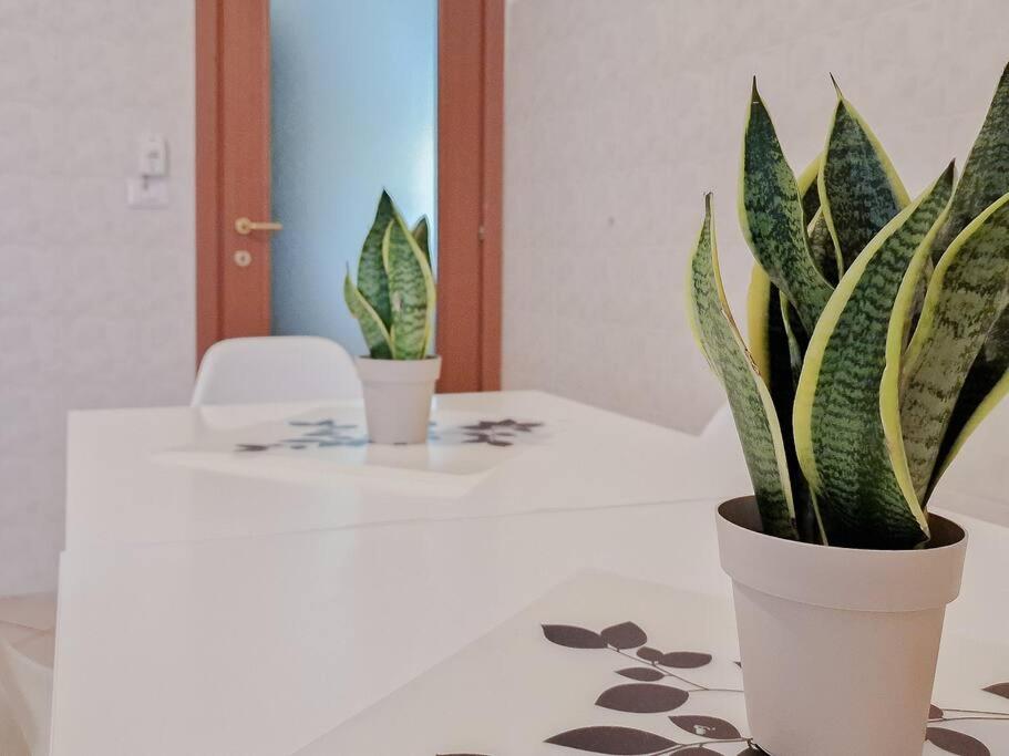 Apartment - Photo 14