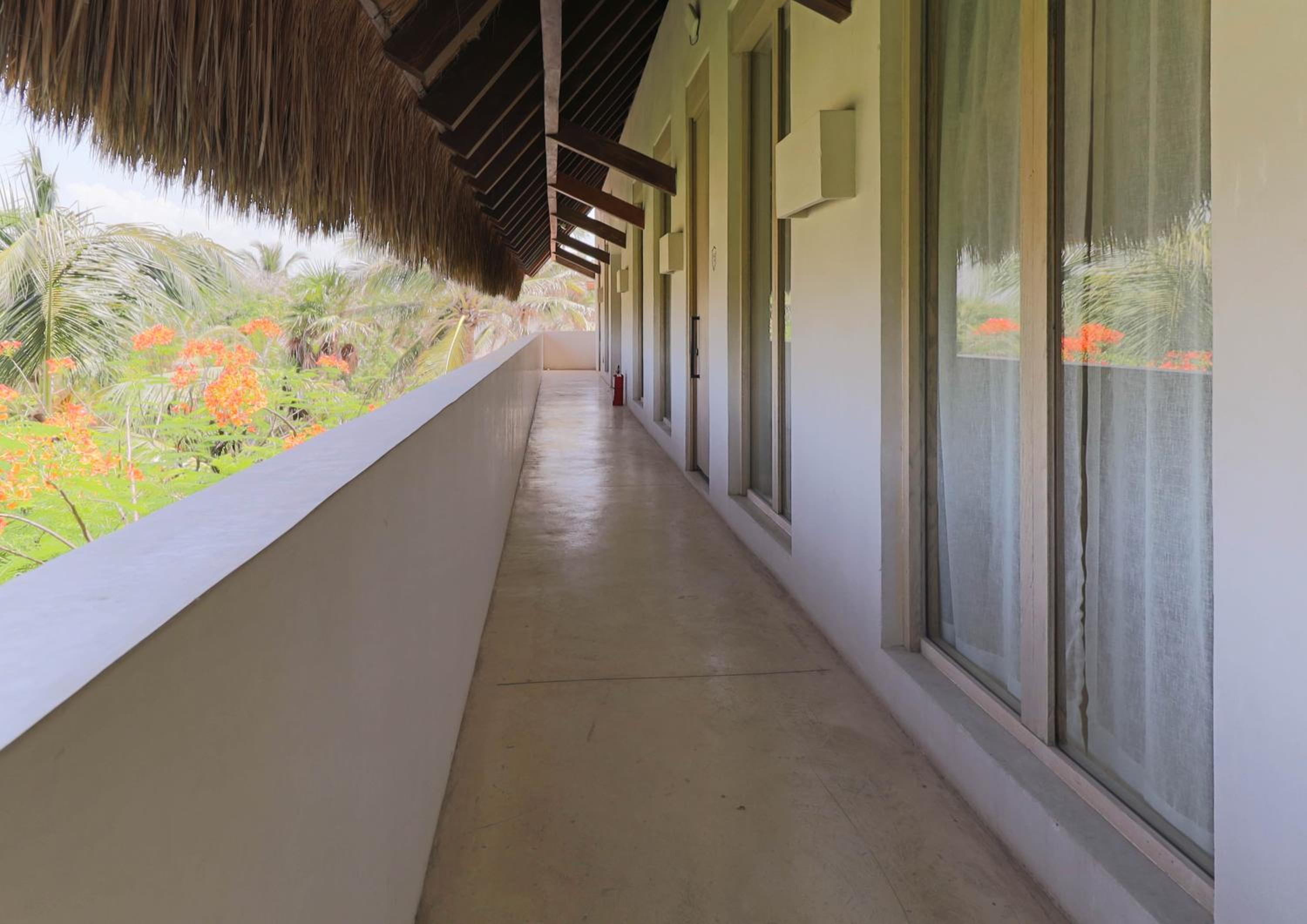 Suite - Photo 3