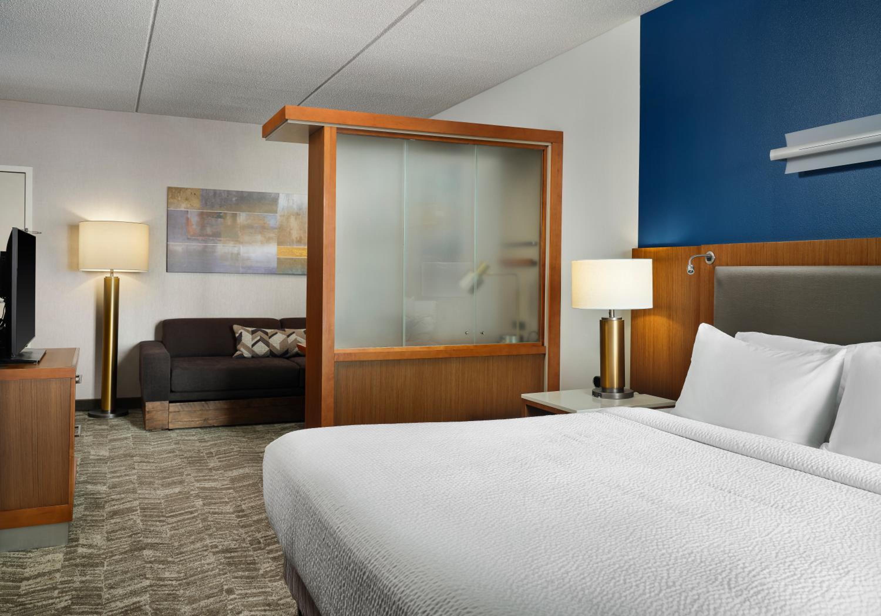 King Studio with Sofa Bed and Roll-in Shower - Mobility and Hearing Accessible