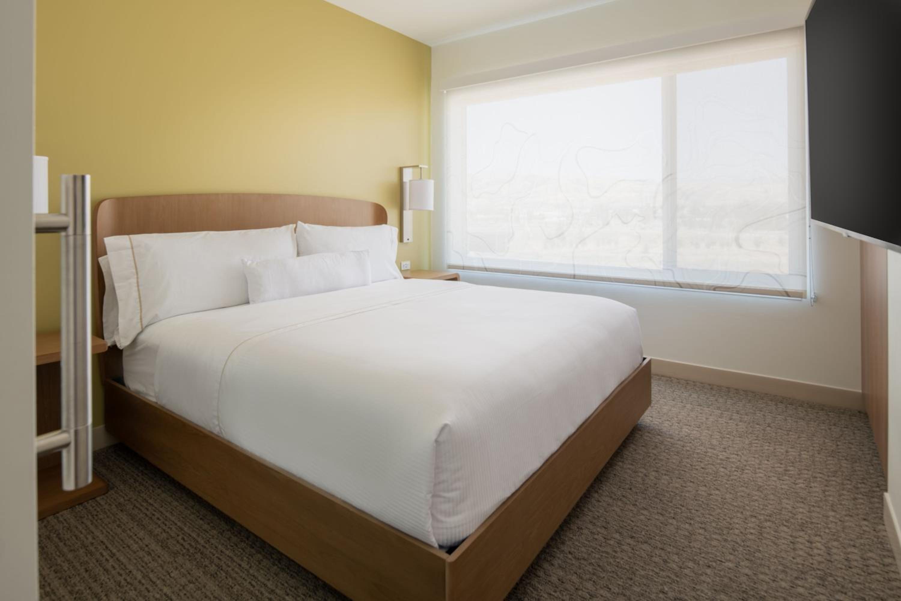 One-Bedroom King Suite with Sofa Bed  - Photo 4