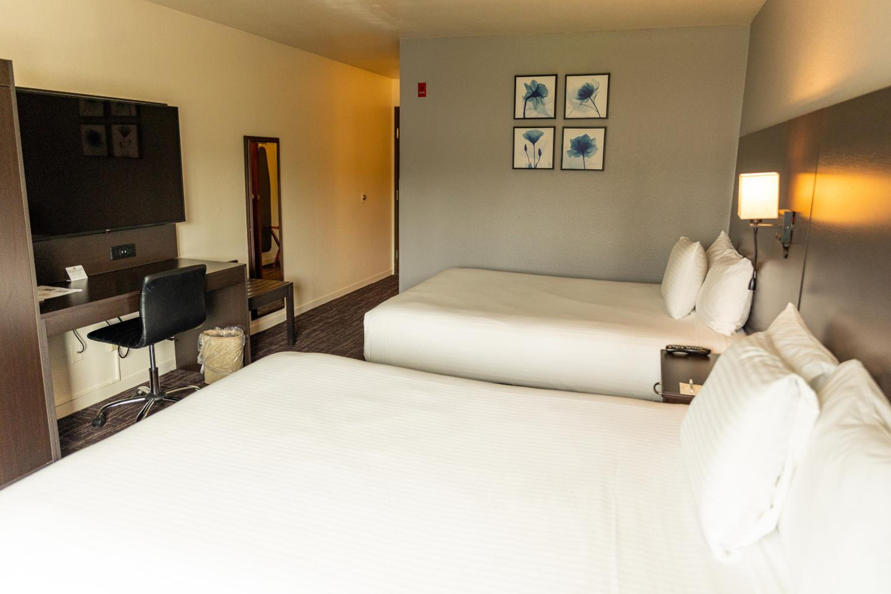Standard  Room - Photo 6