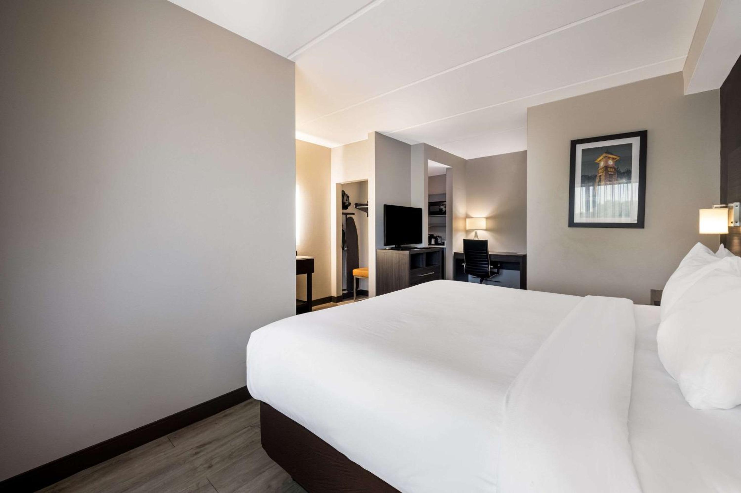 King Suite - Non-Smoking - Photo 5