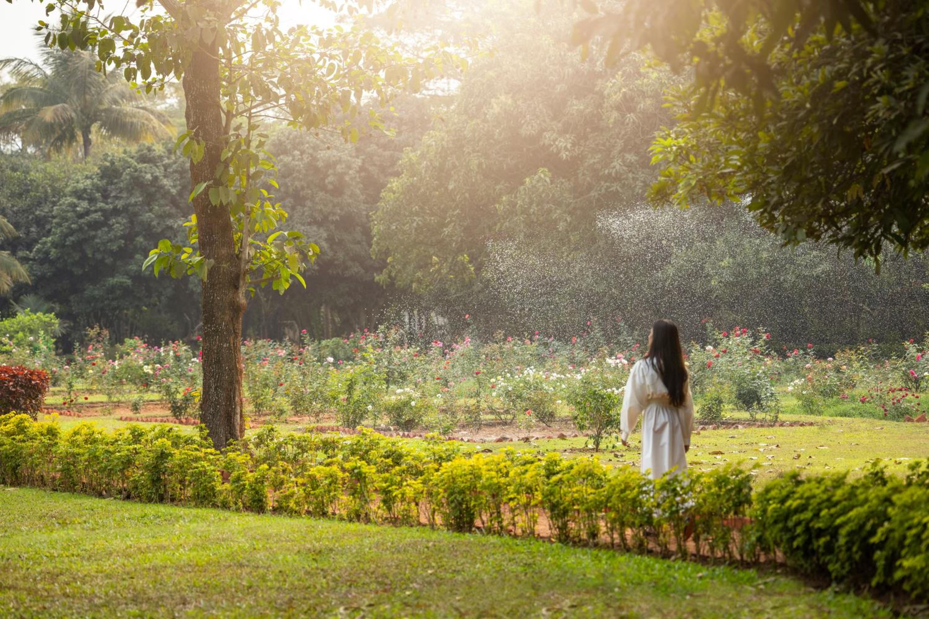 Deluxe Garden View - Twin