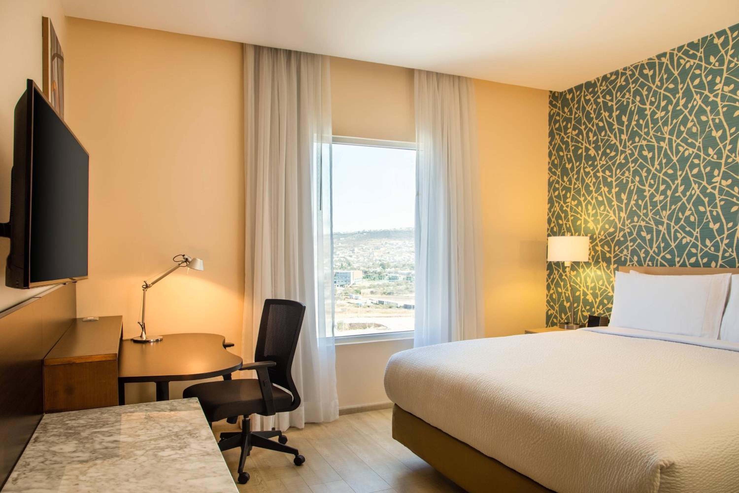 King Room photo 1