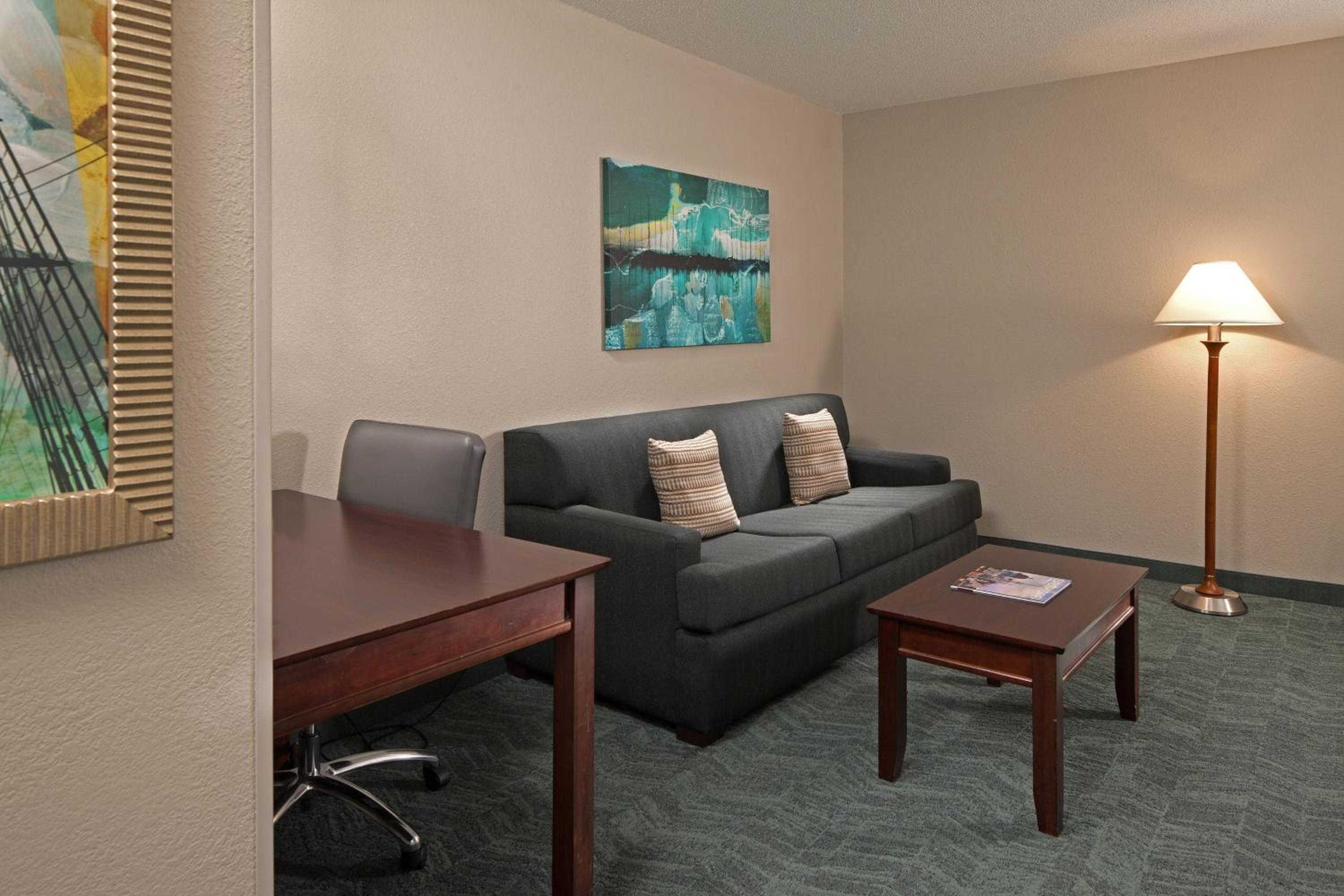 King Studio Suite with Sofa Bed - Photo 2