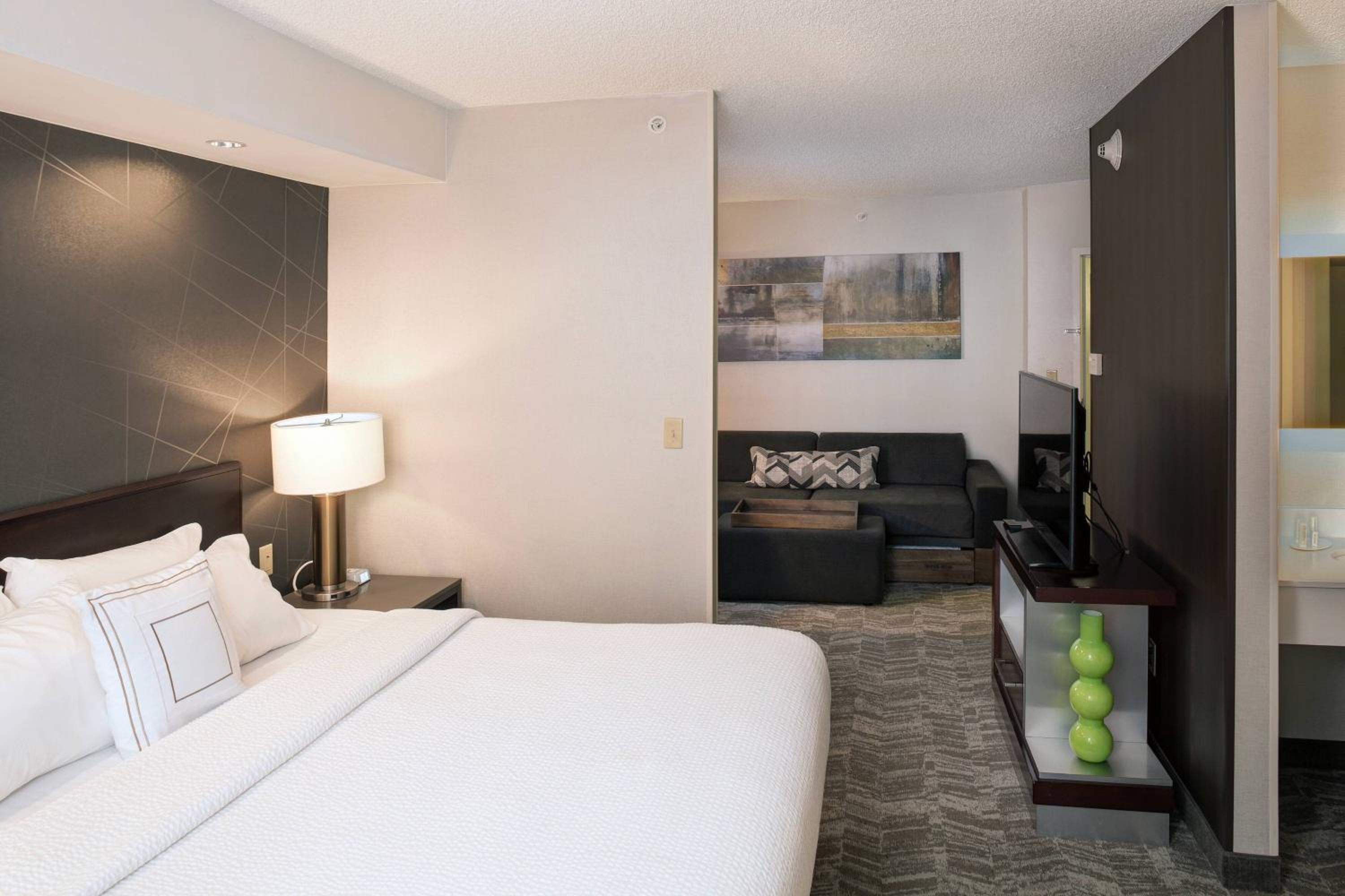 King Suite - Photo 4