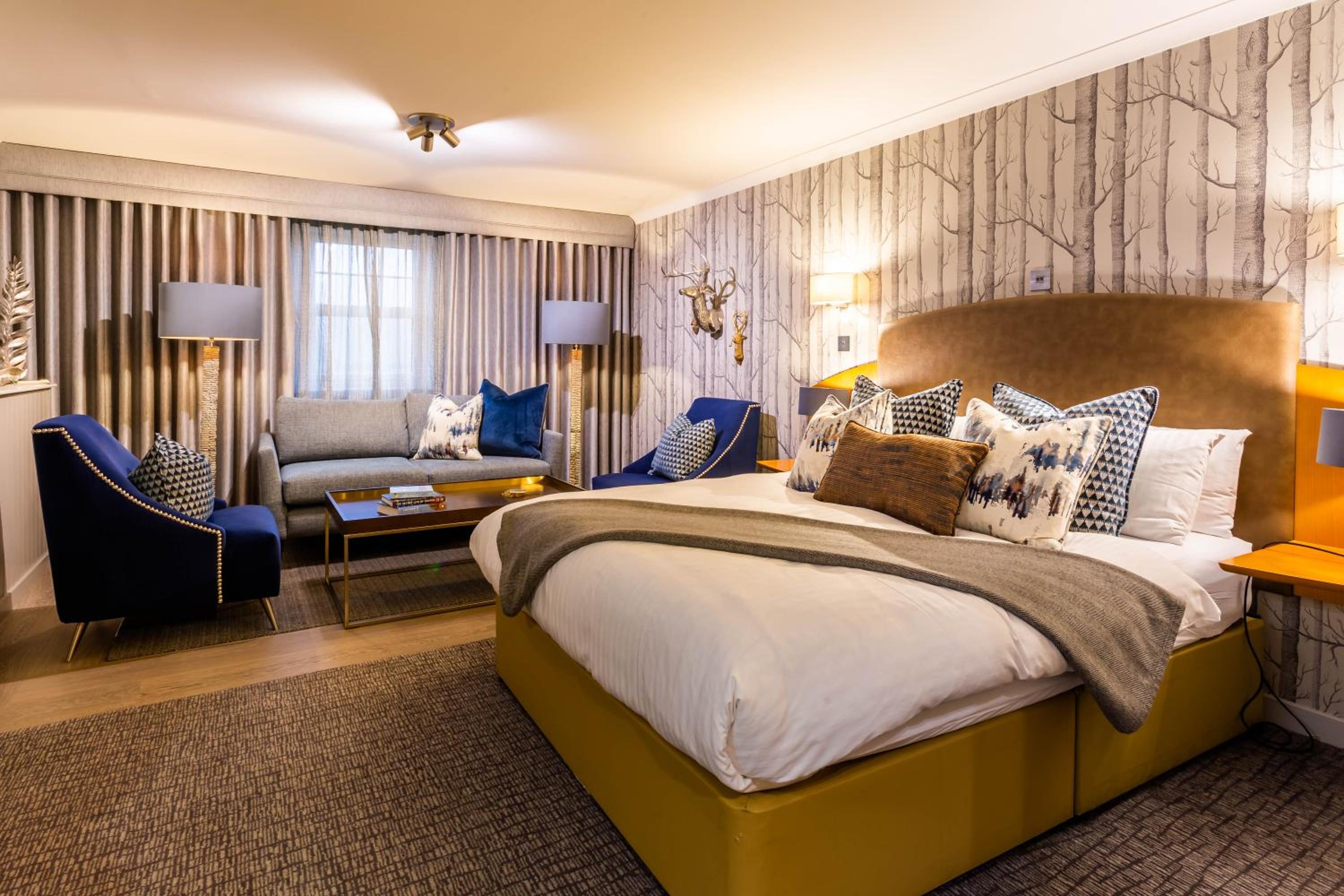 Deluxe Room - Photo 1