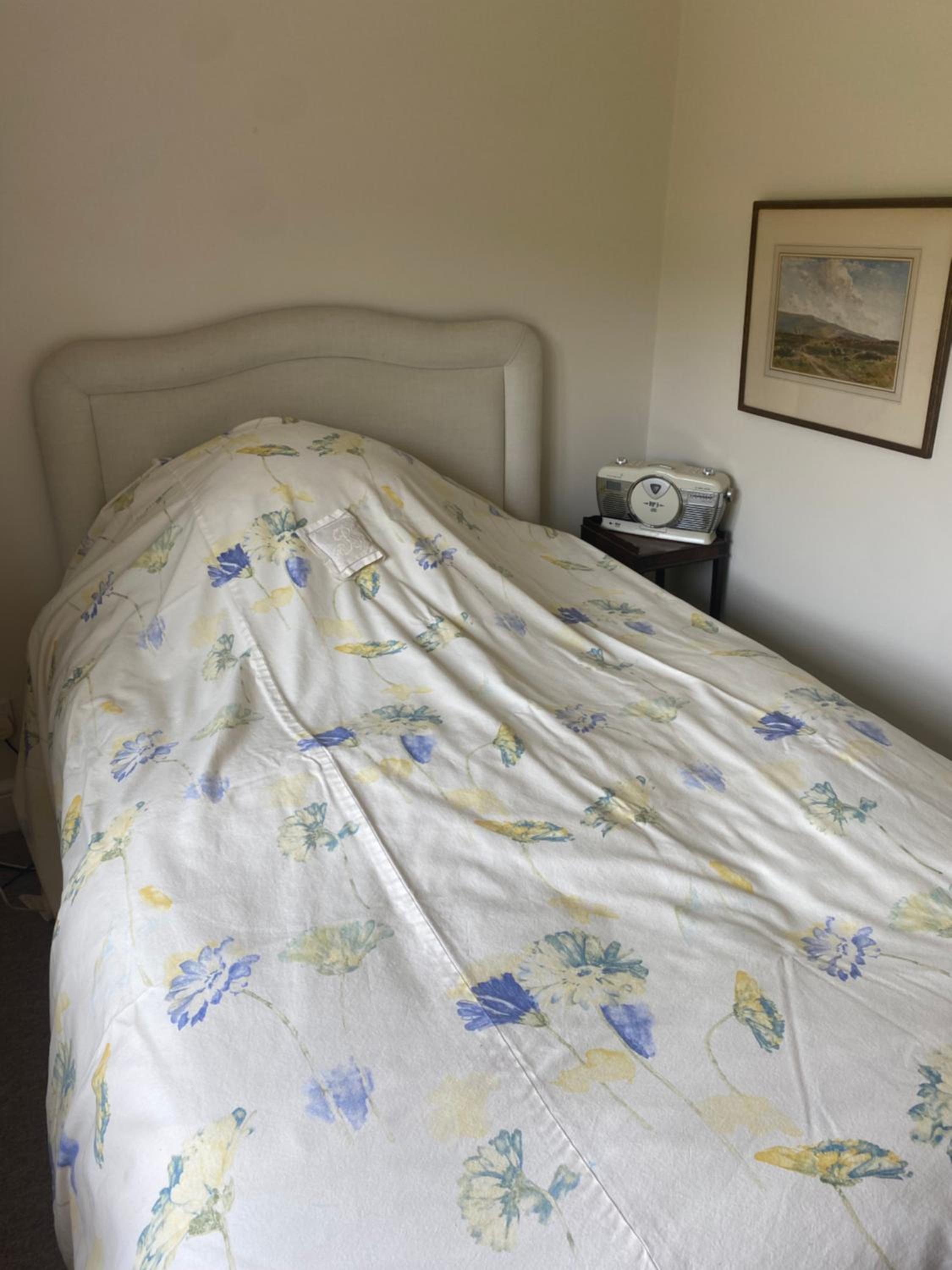 Double Room with Garden View photo 1