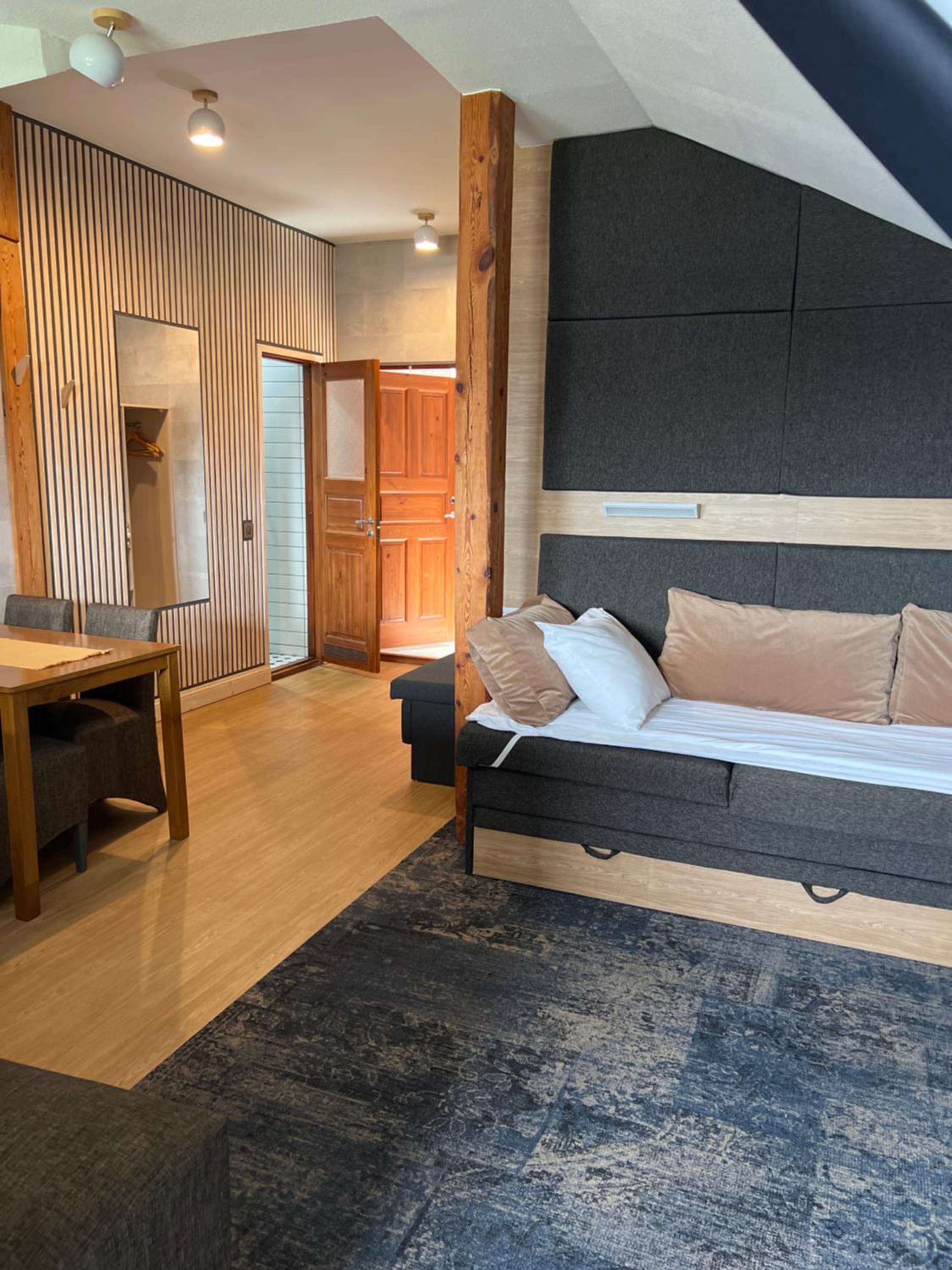 King Studio with Sofa Bed - Photo 5