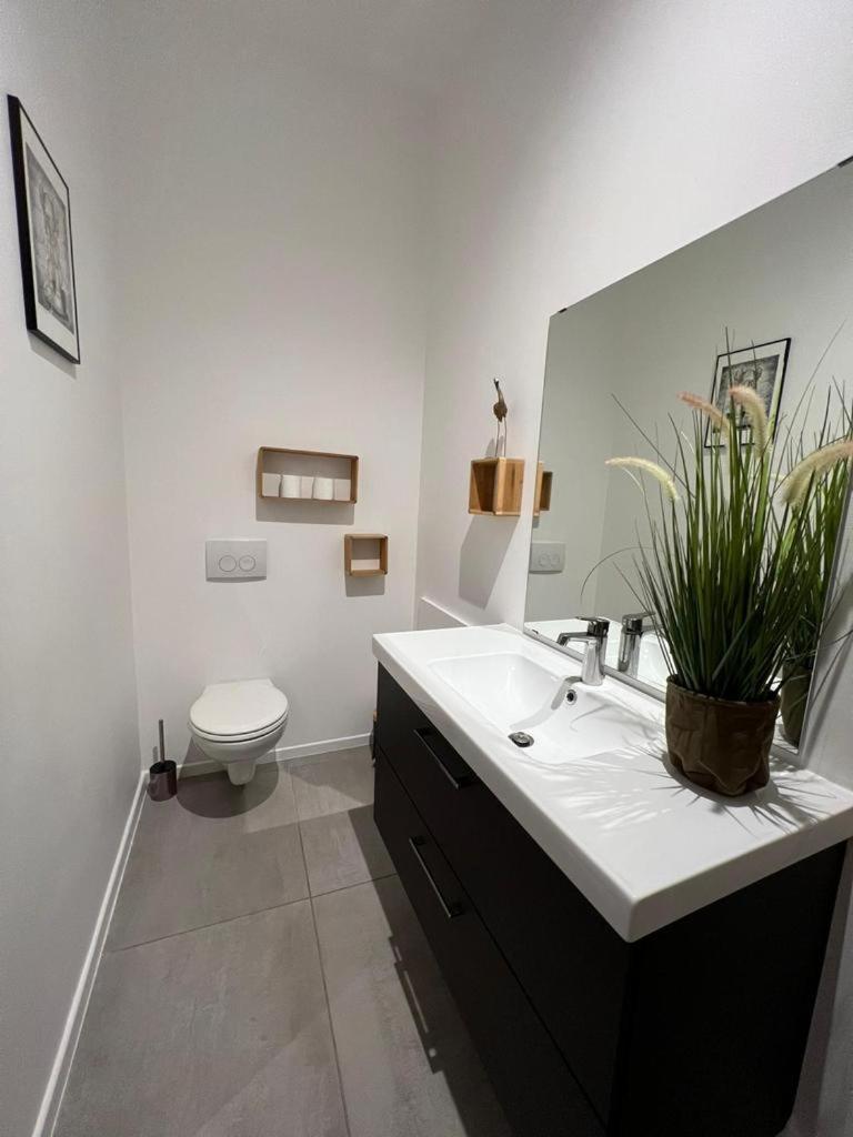 One-Bedroom Apartment - Photo 11