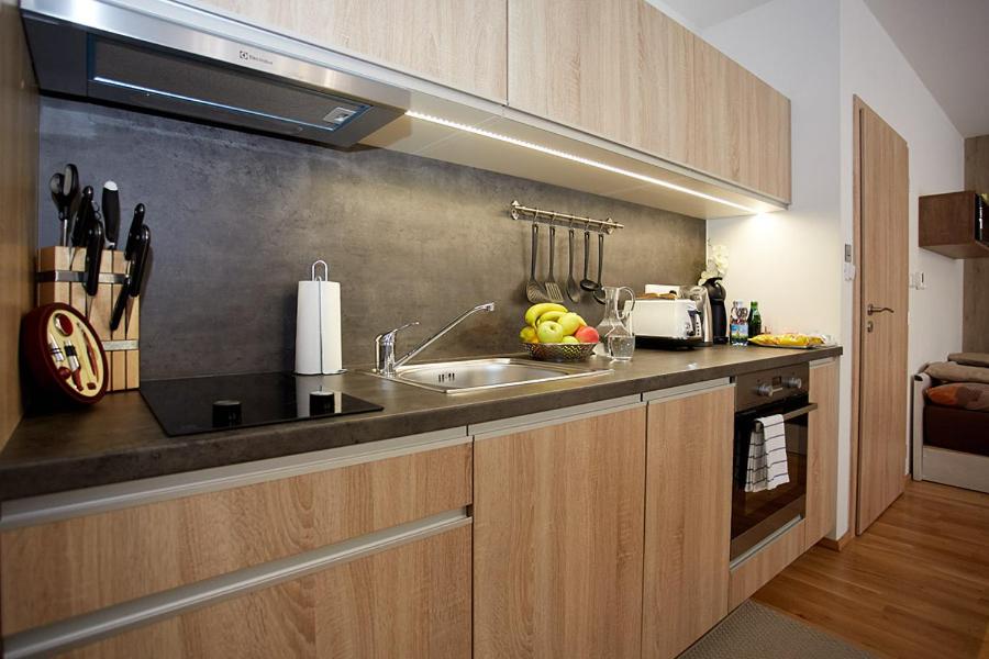 Studio Apartment photo 2